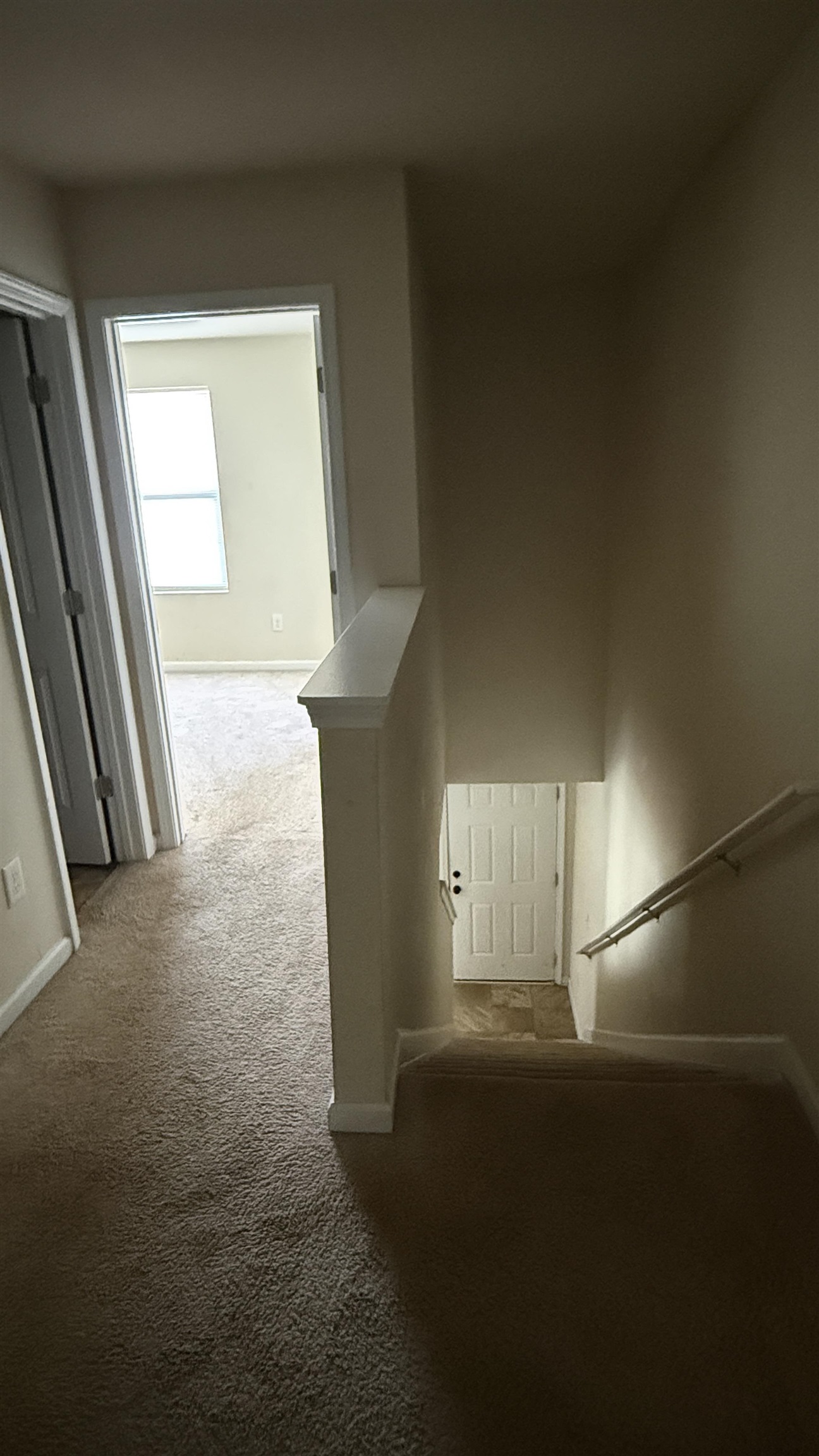 399 Promised Land Drive Property Photo 31