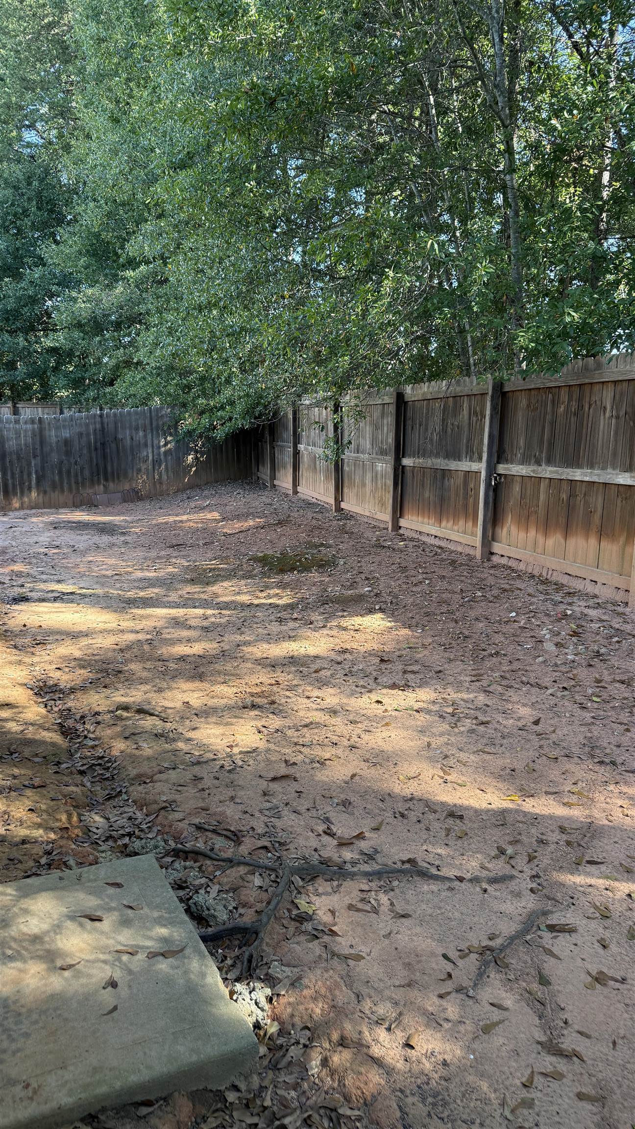 399 Promised Land Drive Property Photo 36