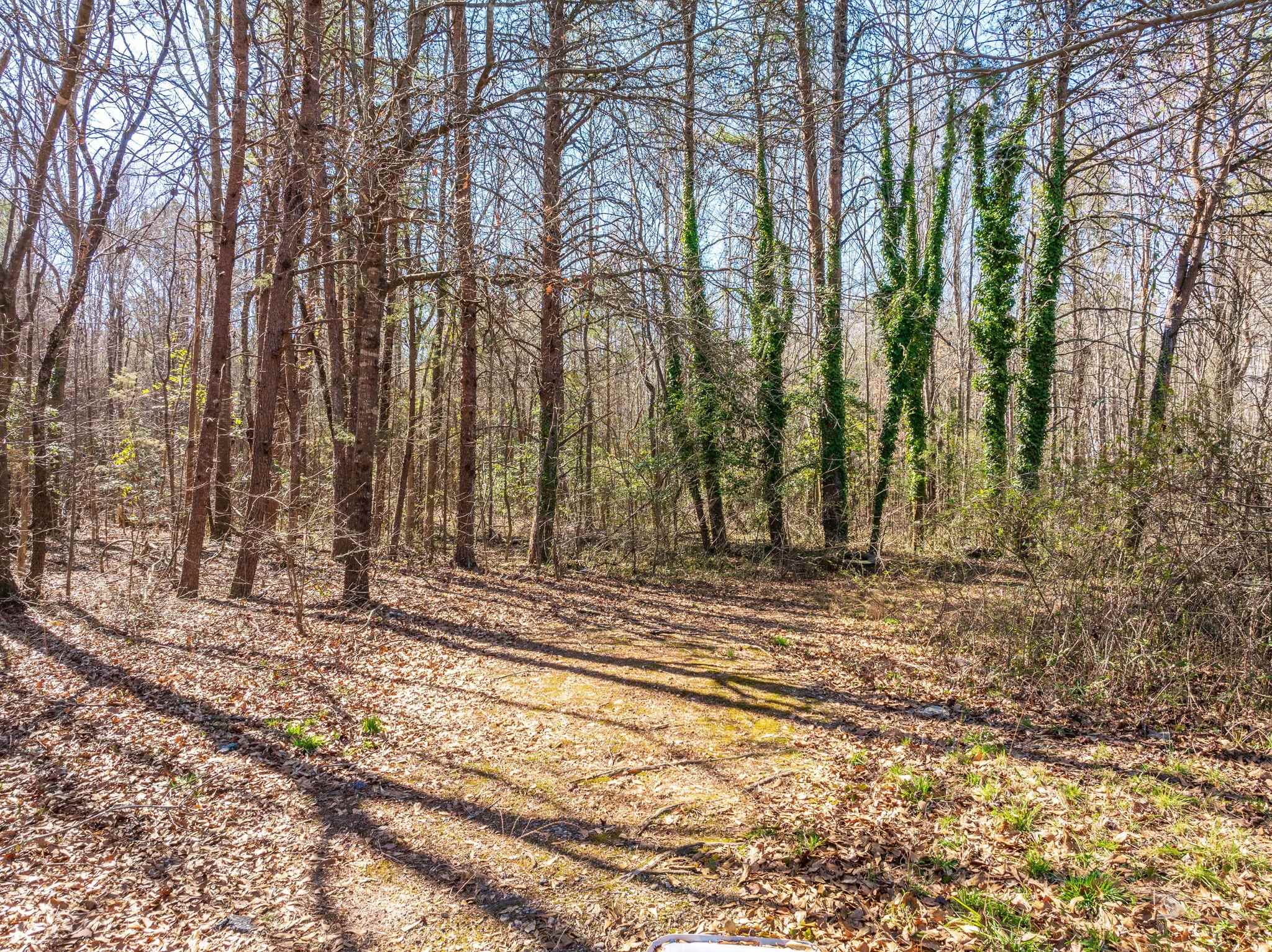 342579 Property Photo 2