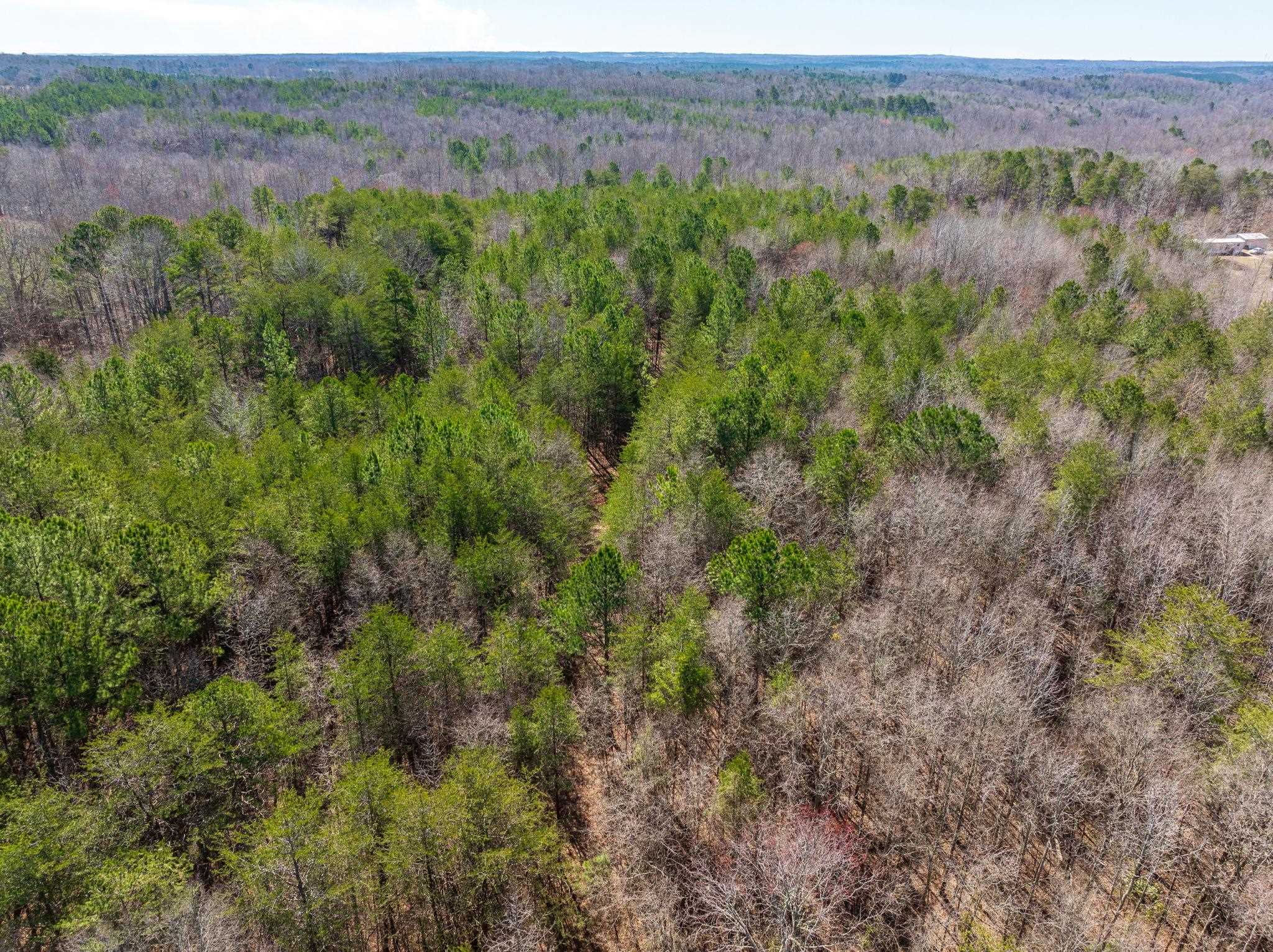 342579 Property Photo 9