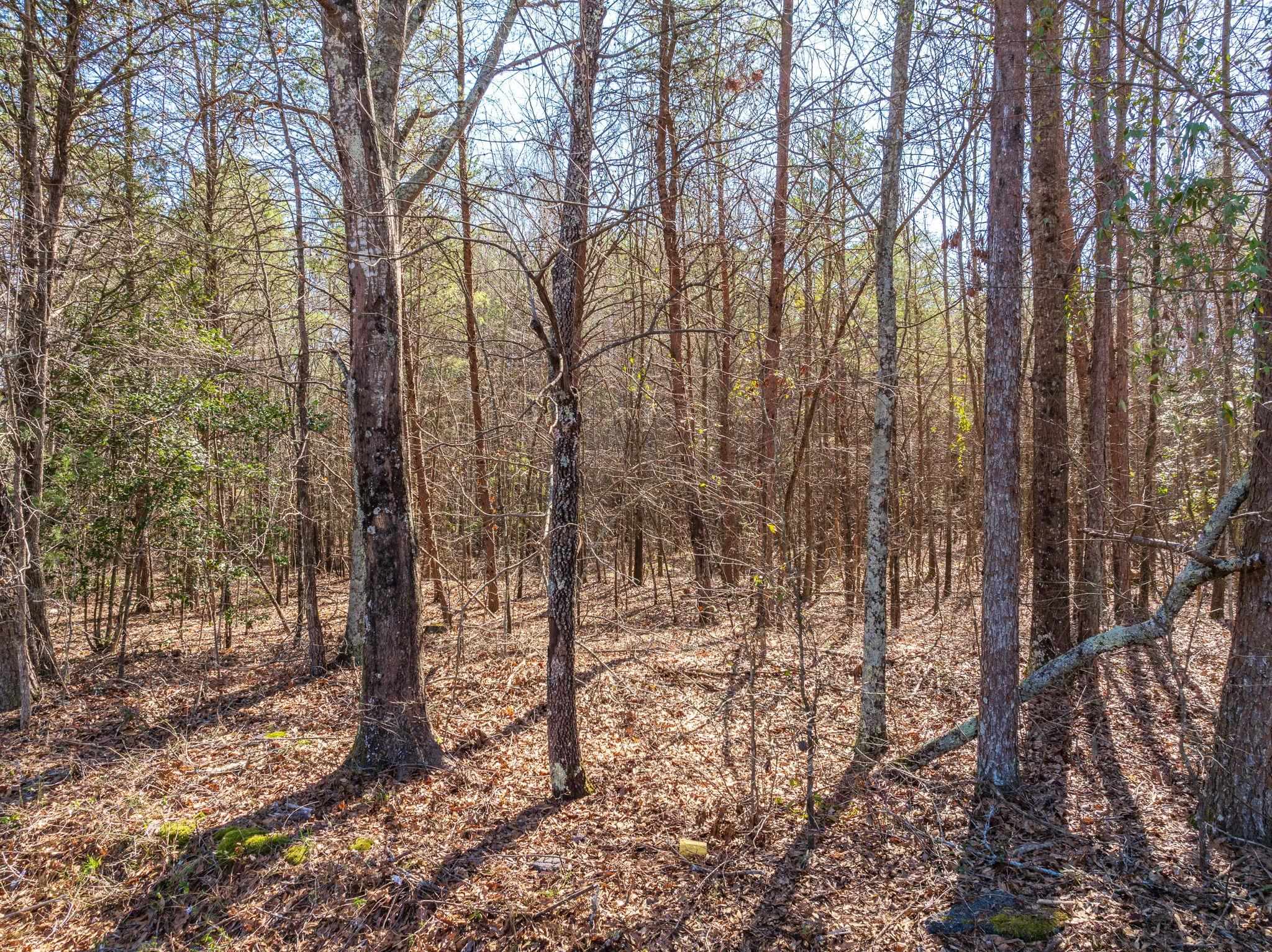 342579 Property Photo 10