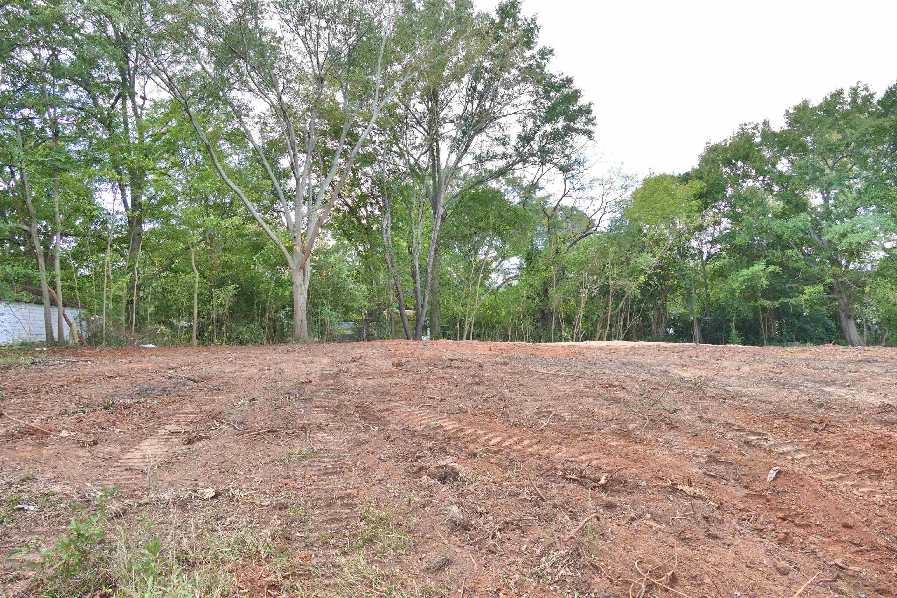 342582 Property Photo 3