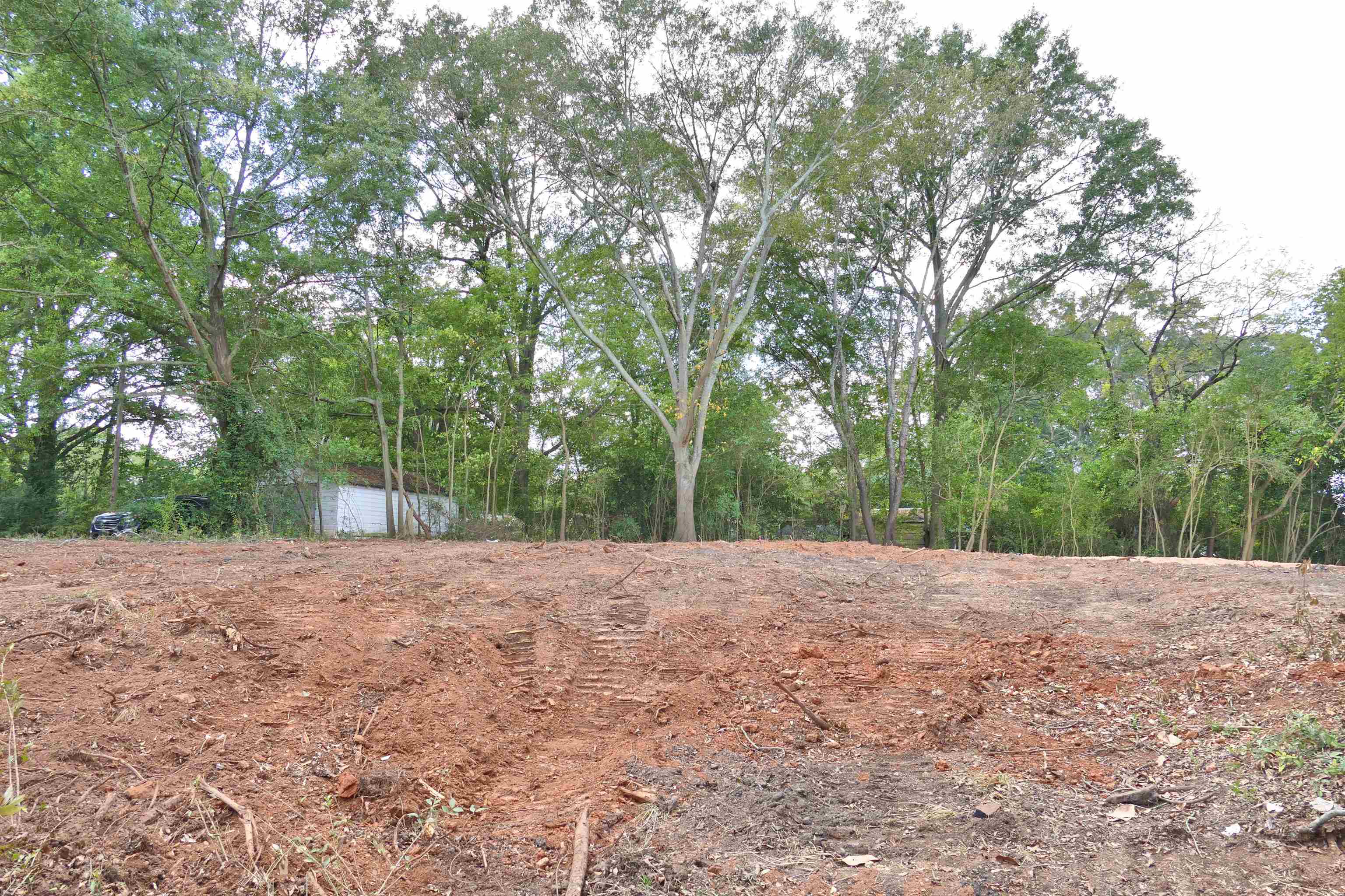 342582 Property Photo 4