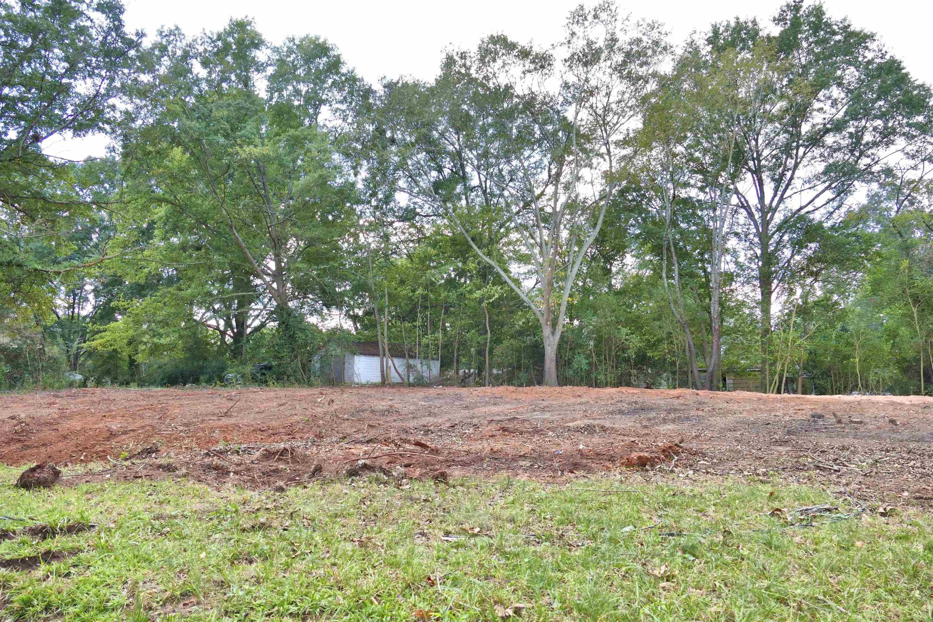 342583 Property Photo 2