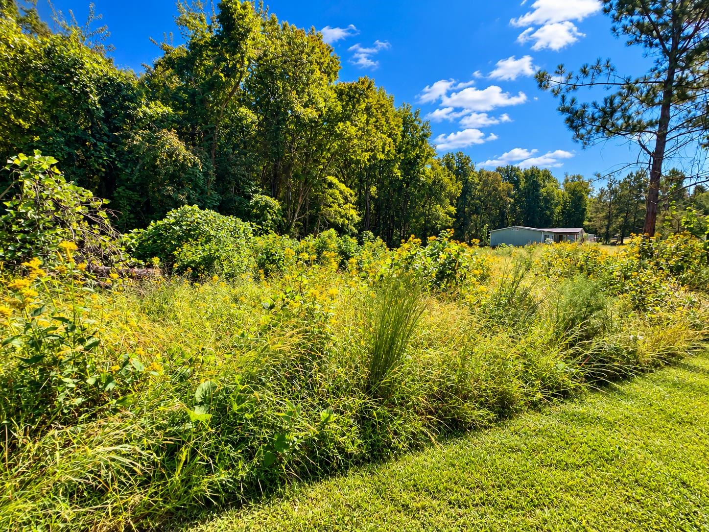 342605 Property Photo 7