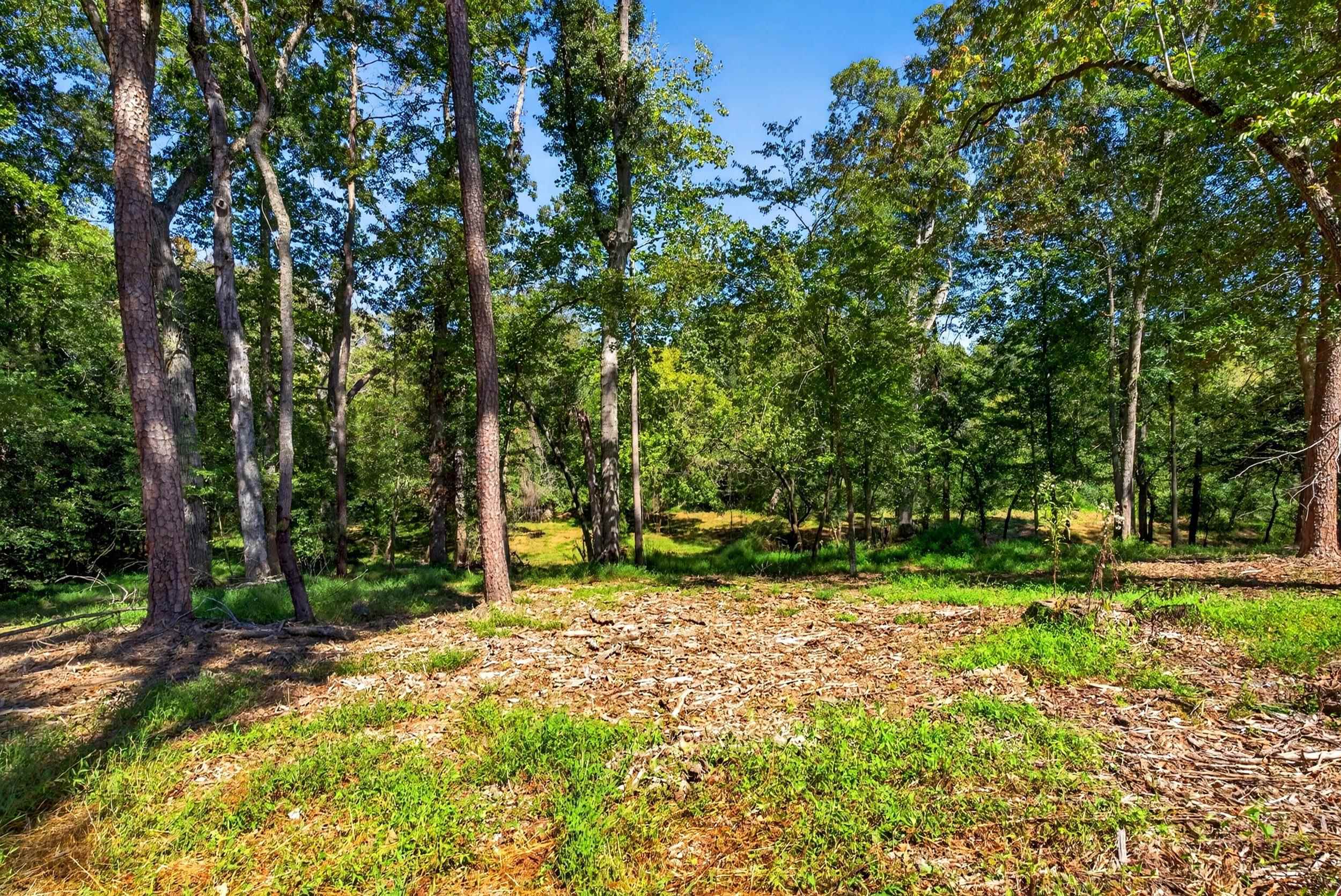 241 Bramlett Road Property Photo 49