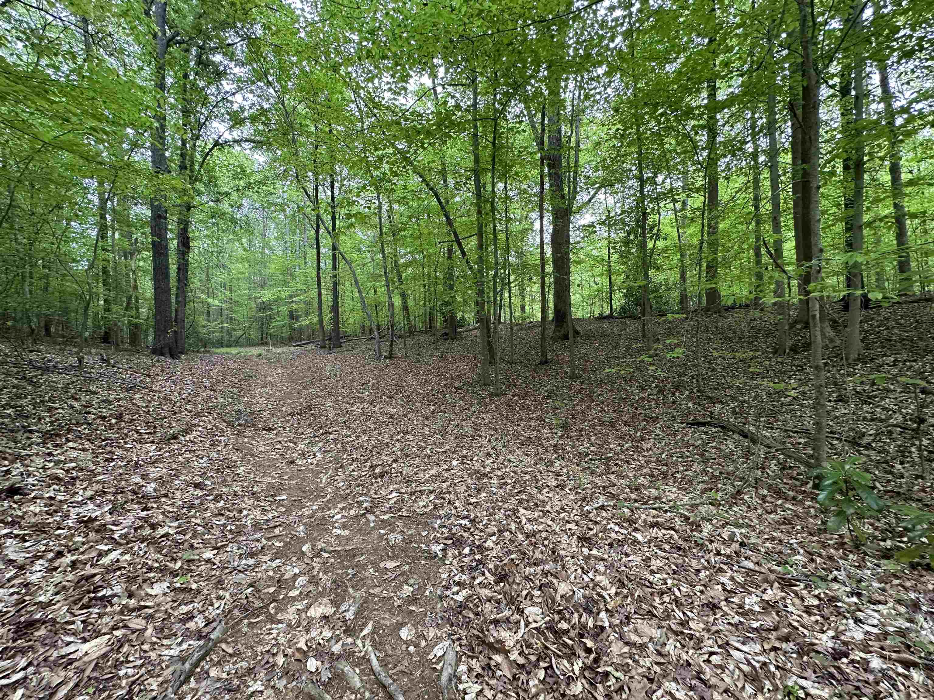 342615 Property Photo 1