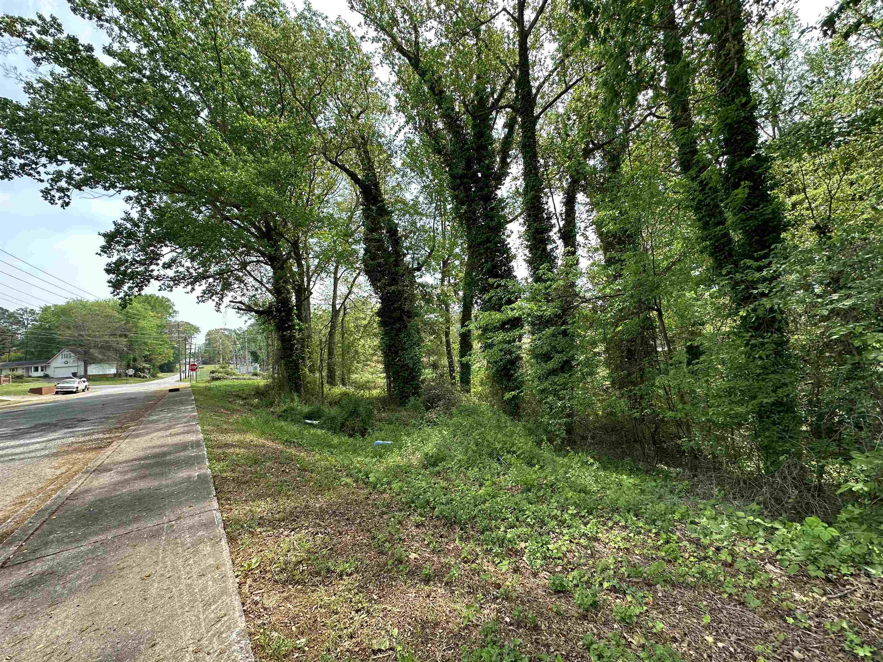 342615 Property Photo 4