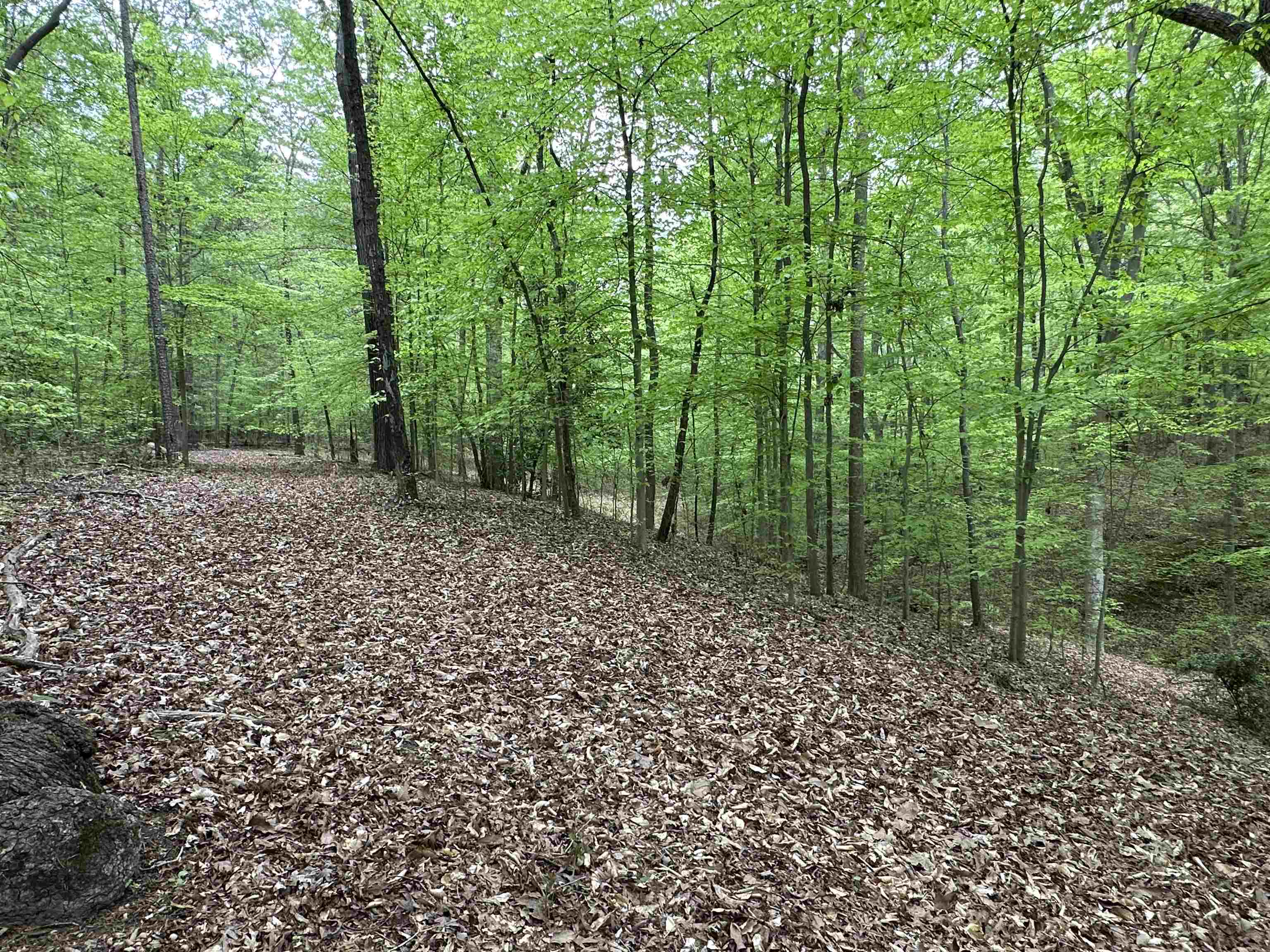 342615 Property Photo 9