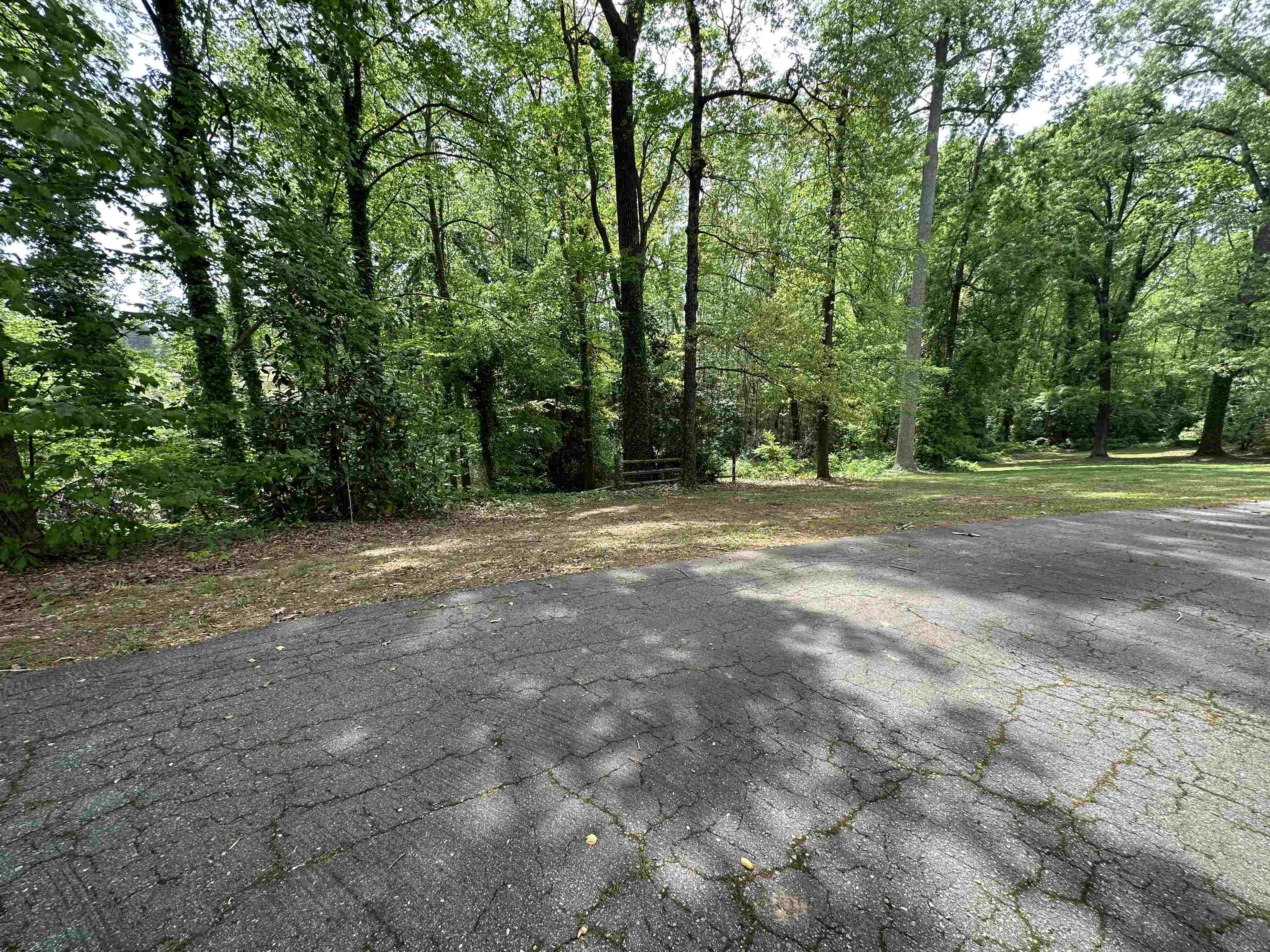 342615 Property Photo 11