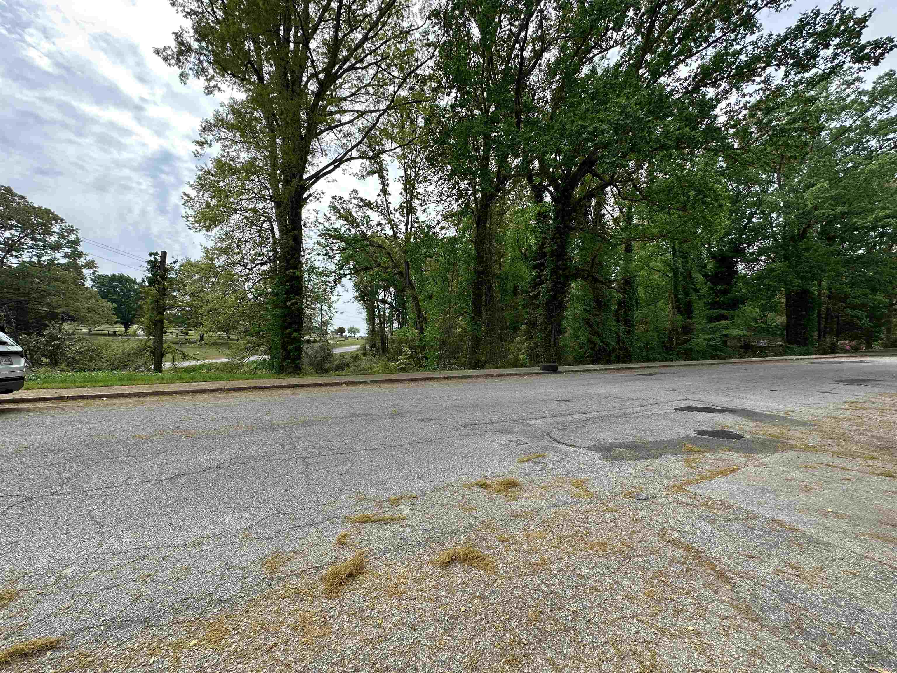 342615 Property Photo 12