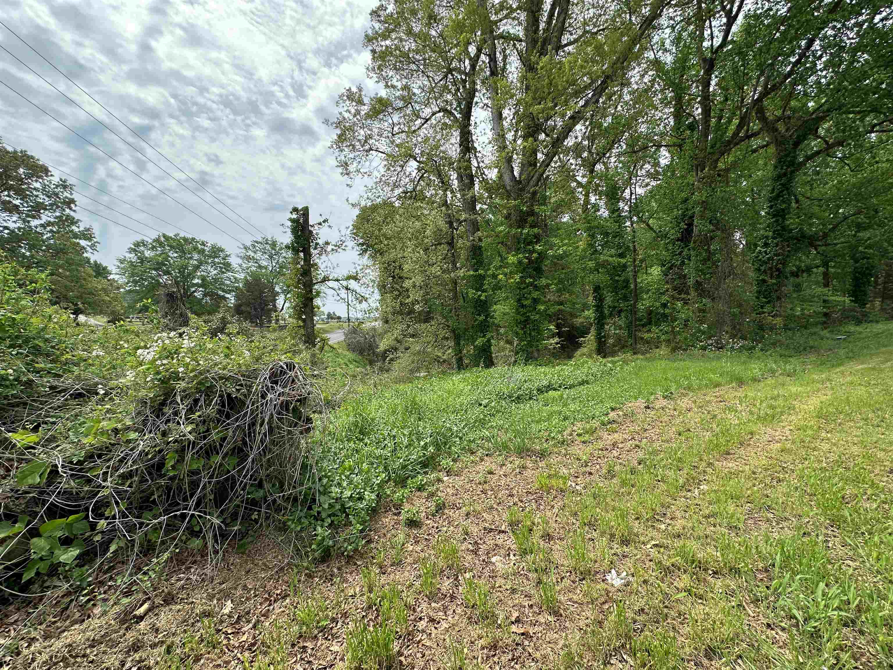 342615 Property Photo 13
