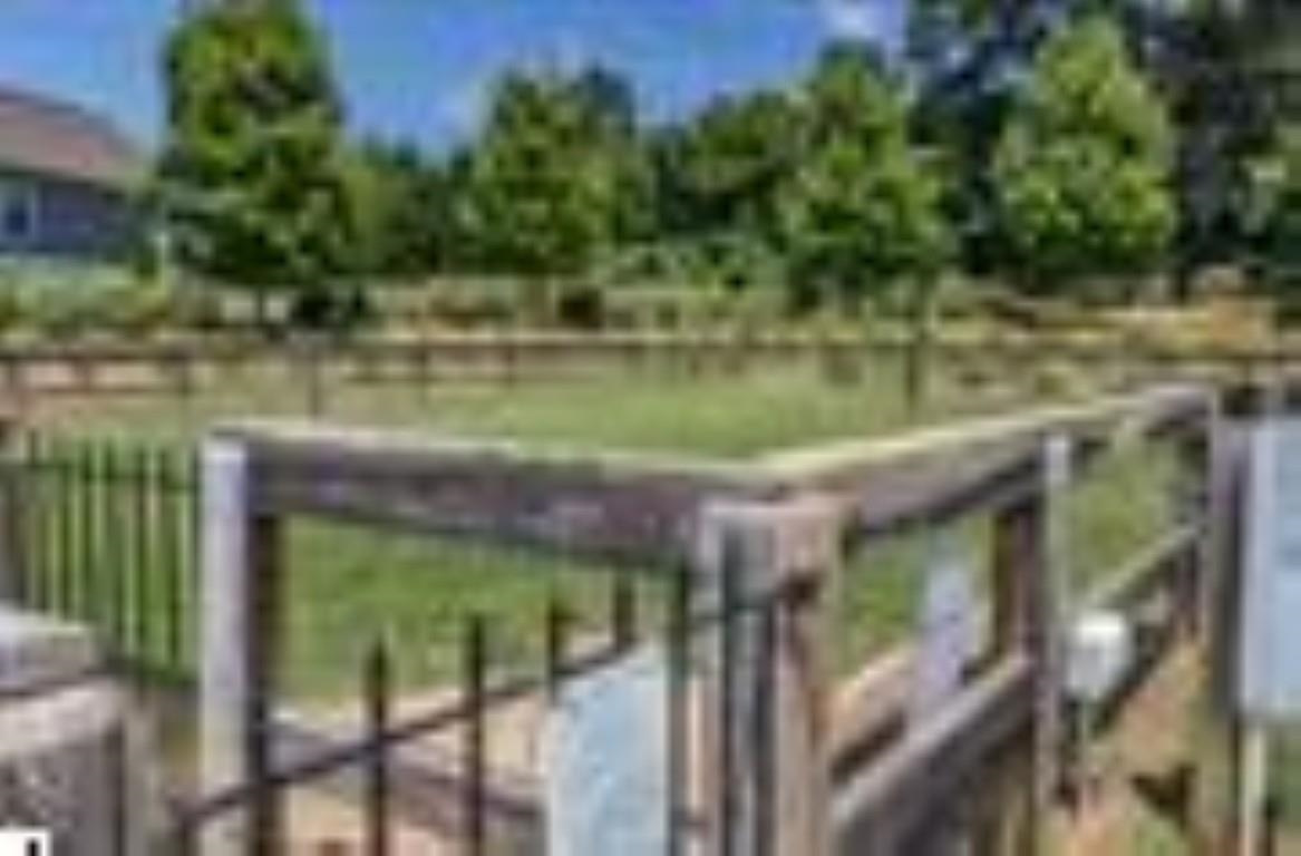 307 Novelty Drive Property Photo 38