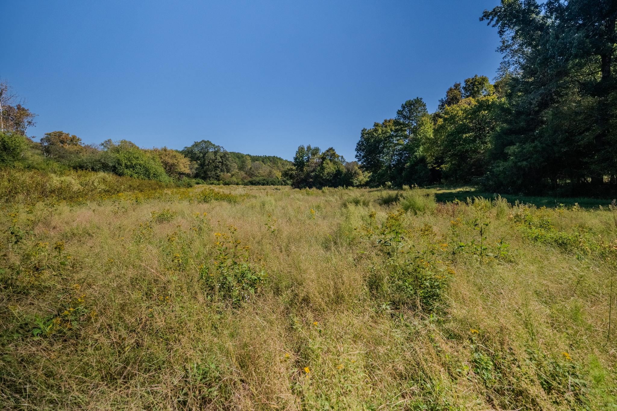 1298 Boggy Branch Road Property Photo 38