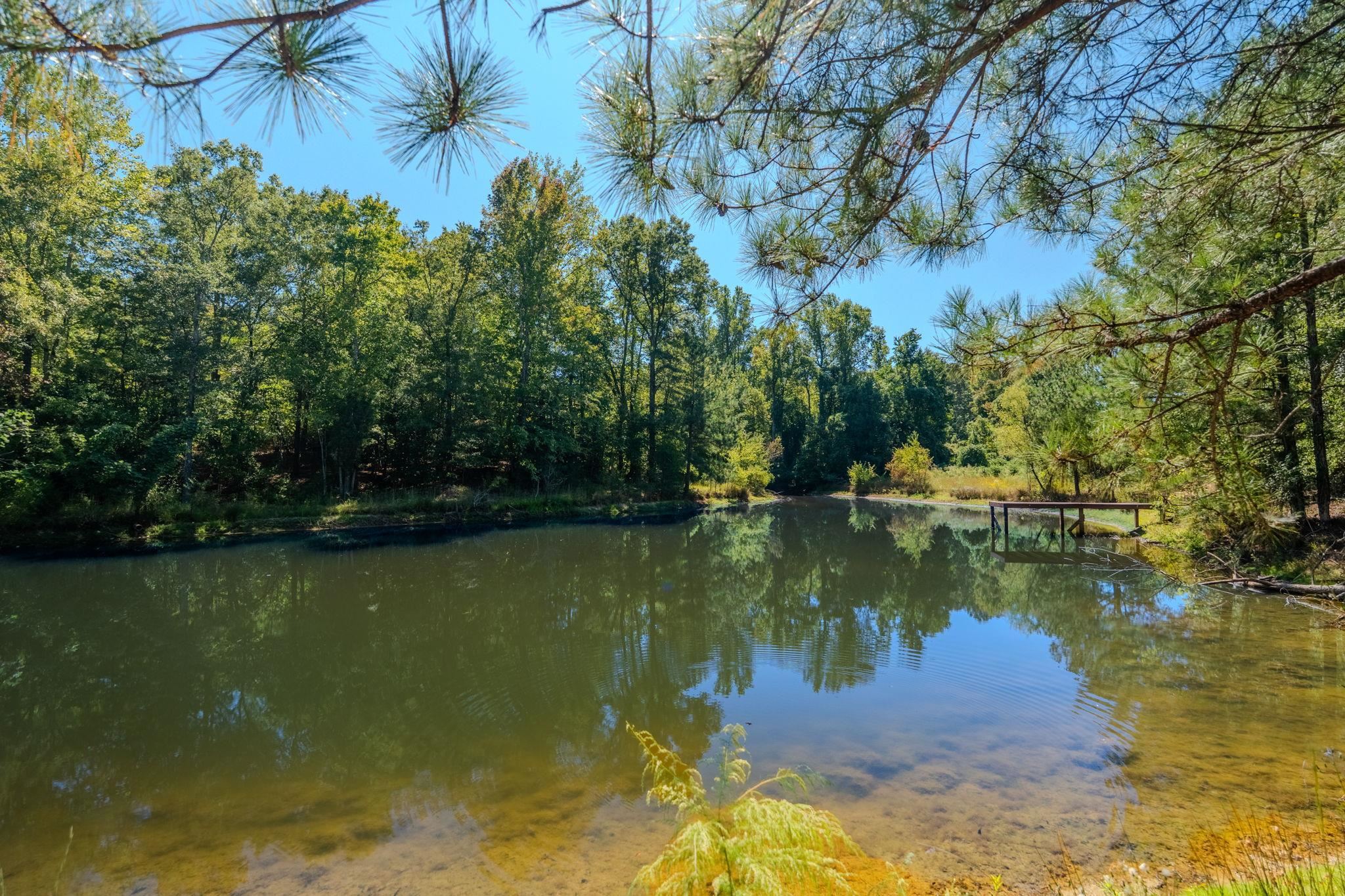1298 Boggy Branch Road Property Photo 40