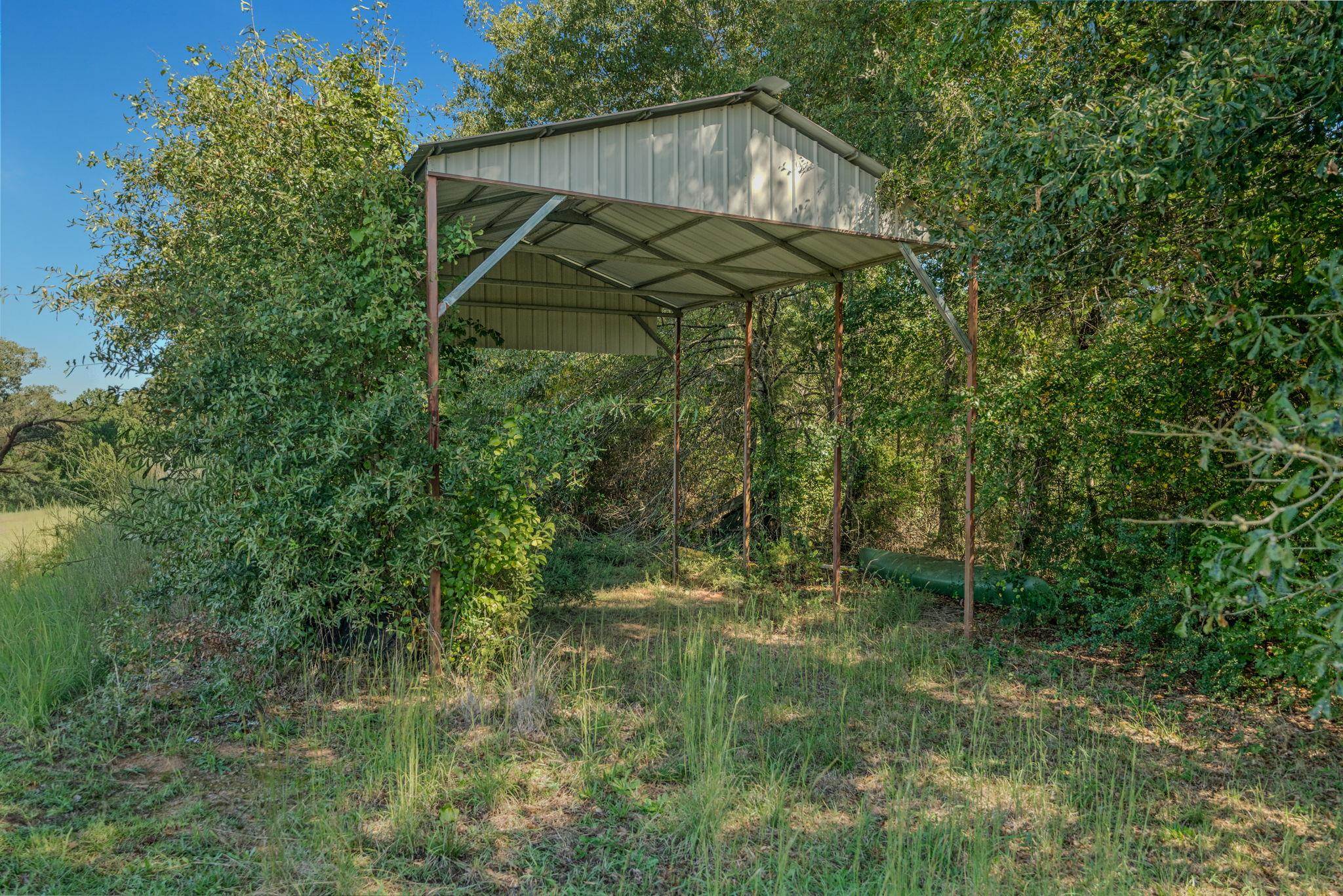 1298 Boggy Branch Road Property Photo 42