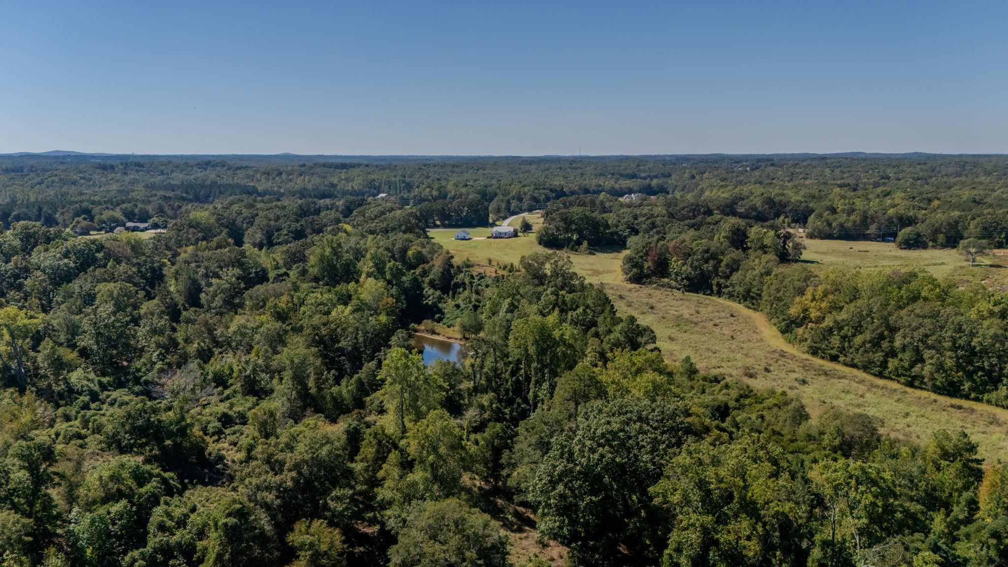 1298 Boggy Branch Road Property Photo 45