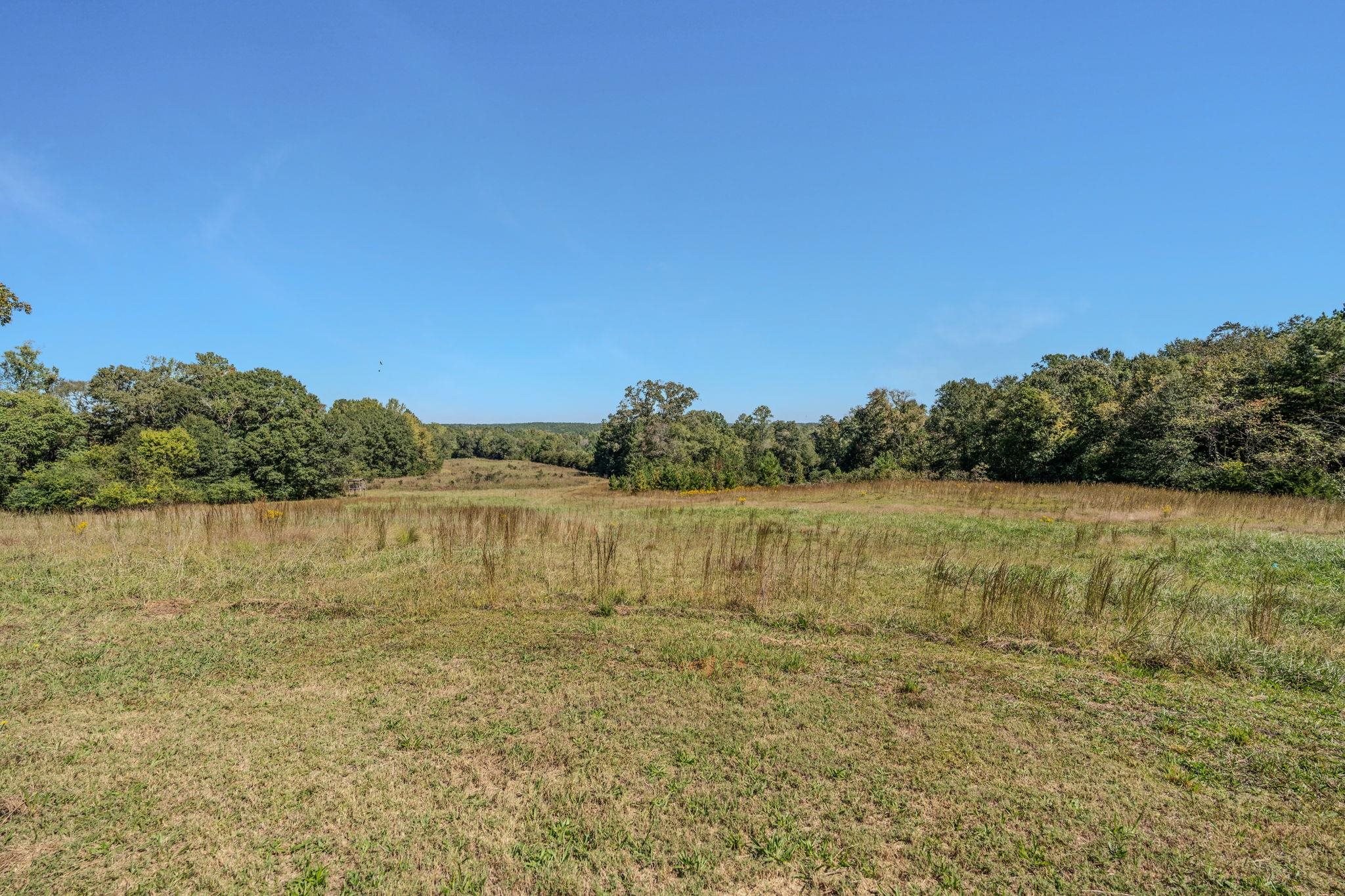 1298 Boggy Branch Road Property Photo 46