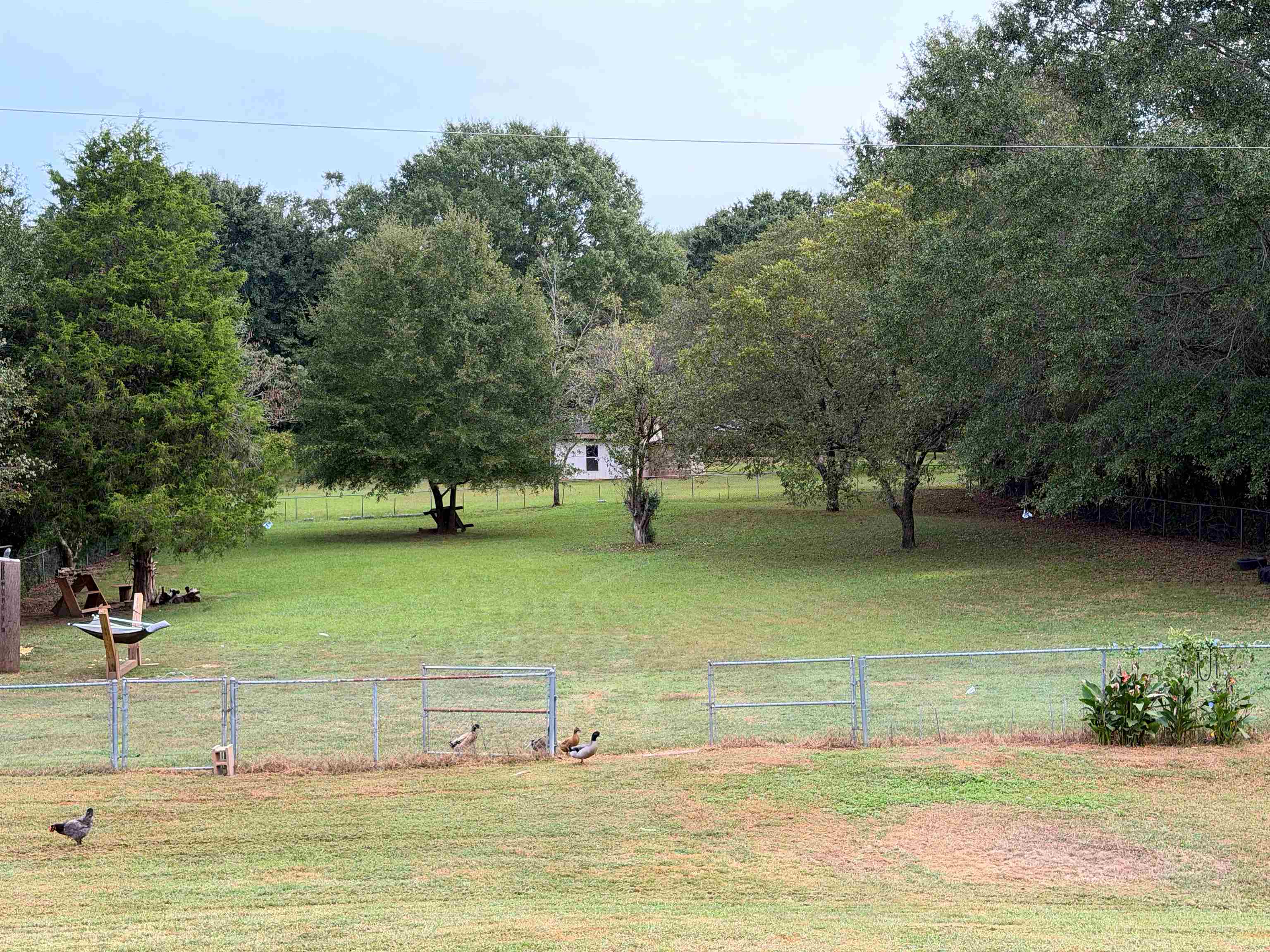 364 Gap Creek Road Property Photo 17