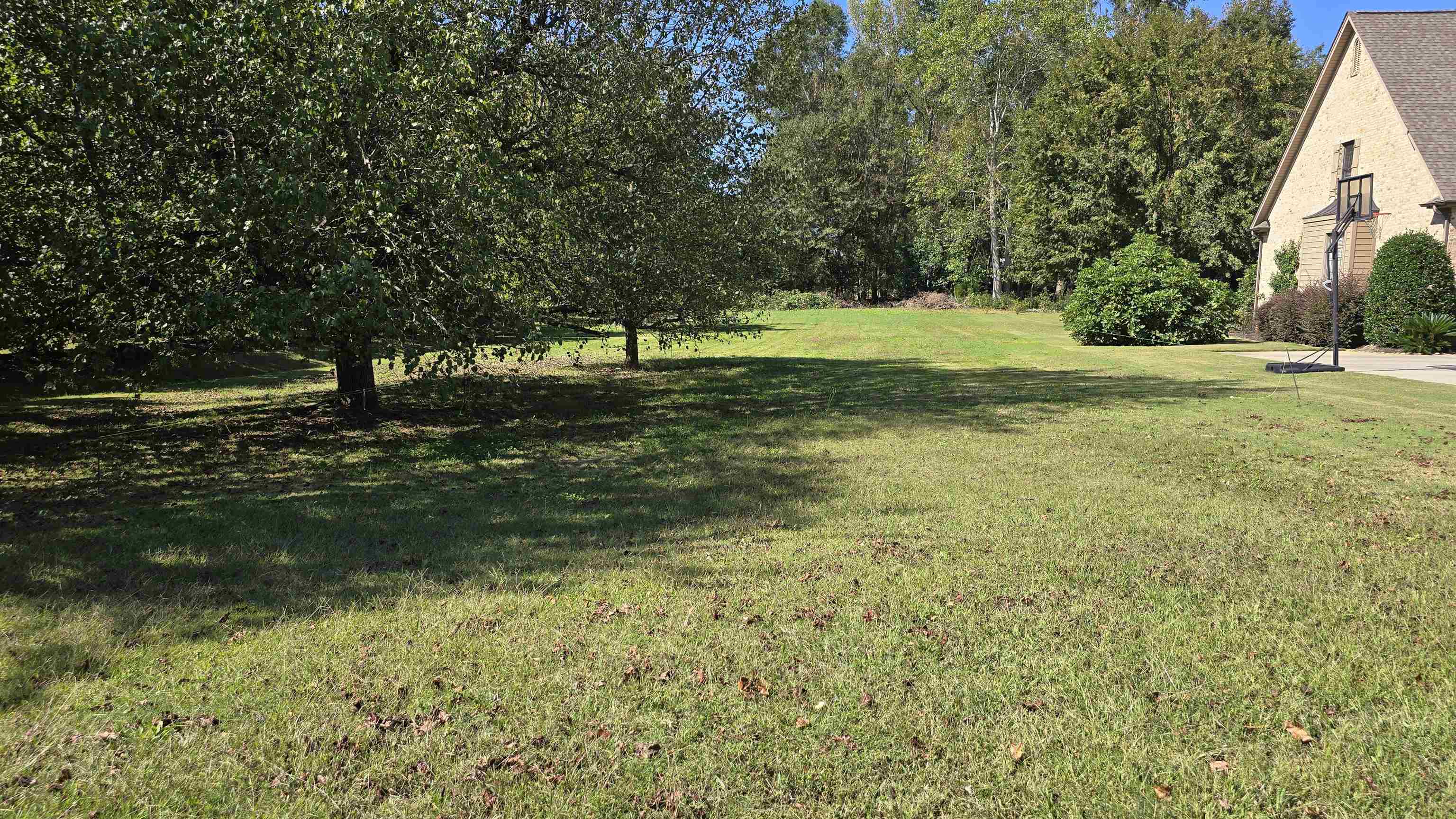 342827 Property Photo 2