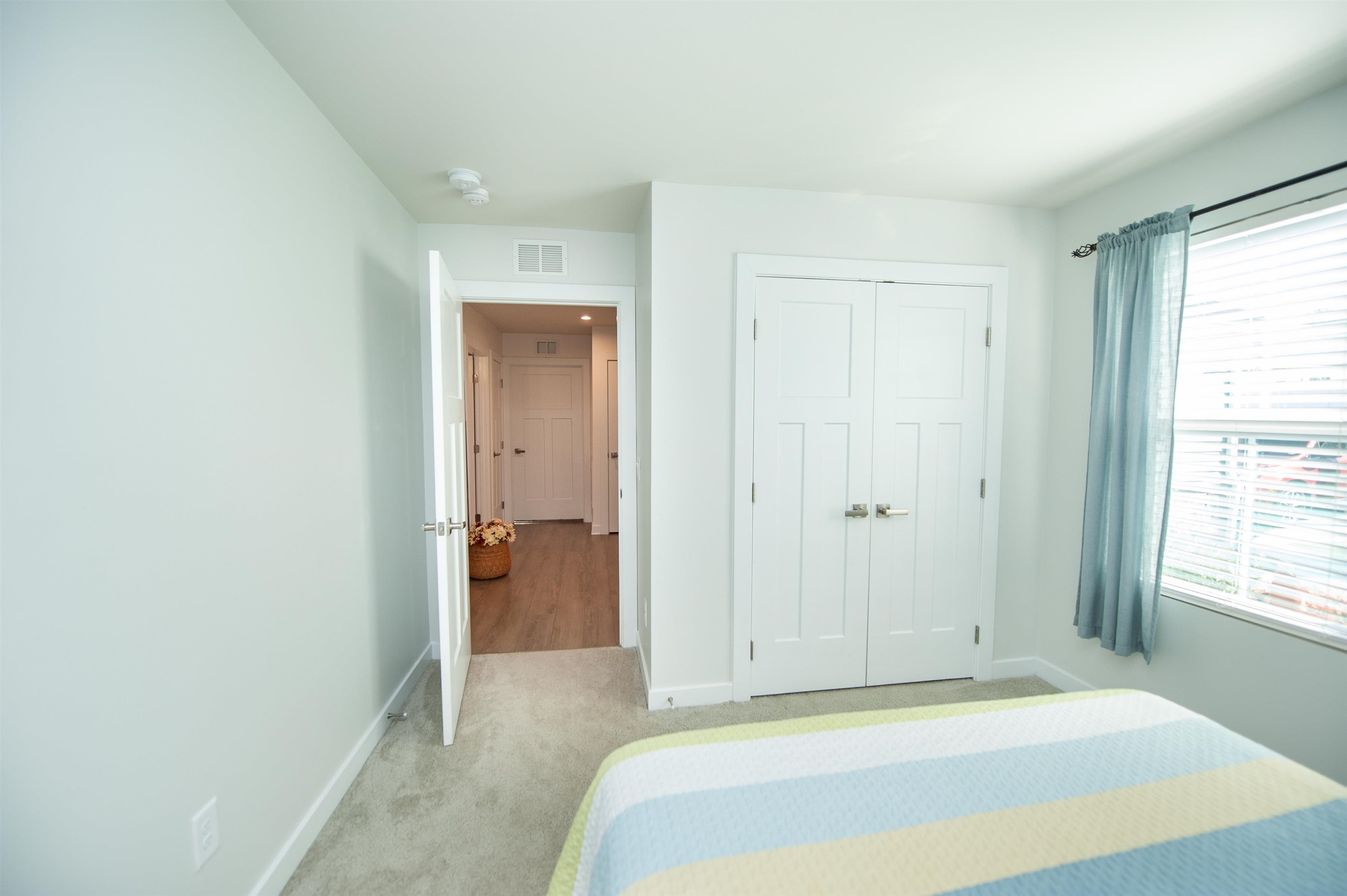 153 Southwell Street Property Photo 6