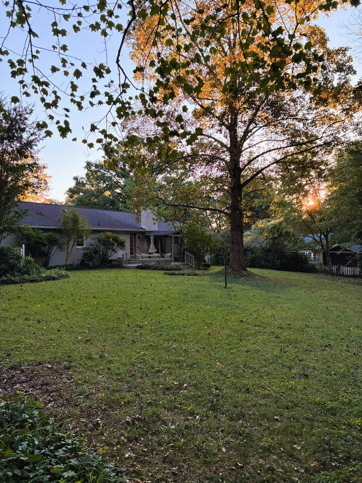 284 Henderson Road Property Photo 32
