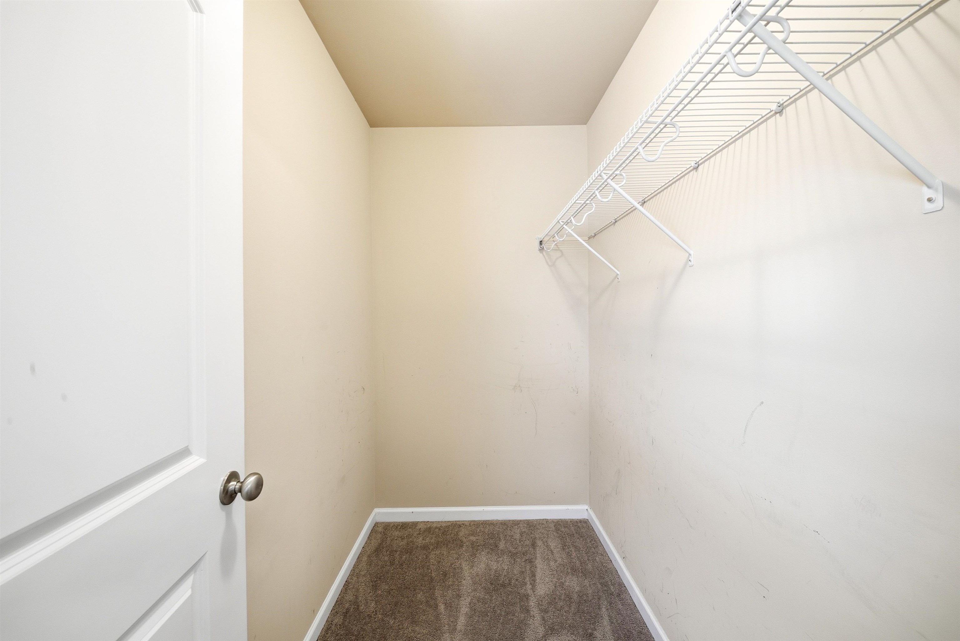 532 W Saddletree Drive Property Photo 22