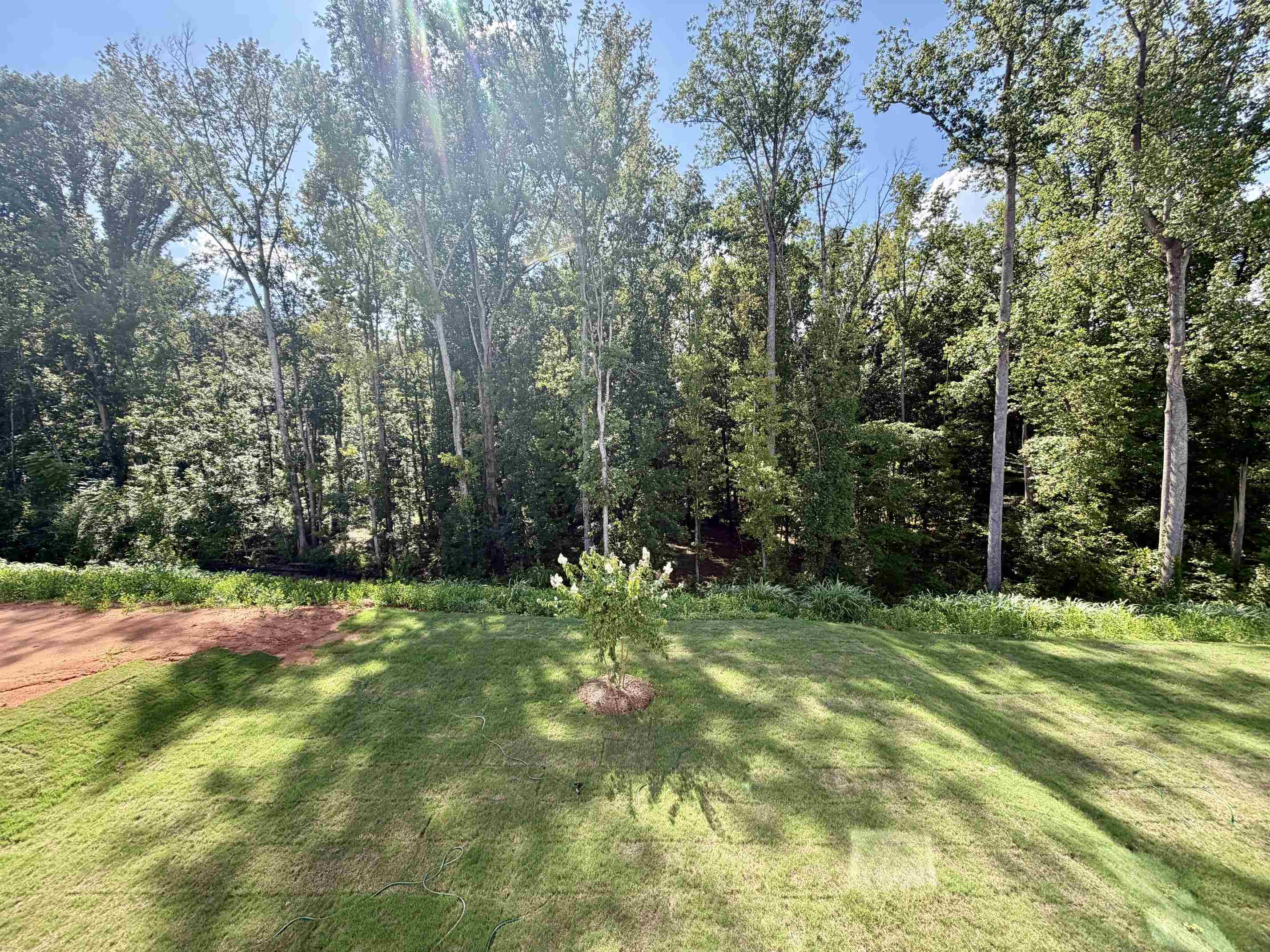 12143 Lansbury Drive Property Photo 15