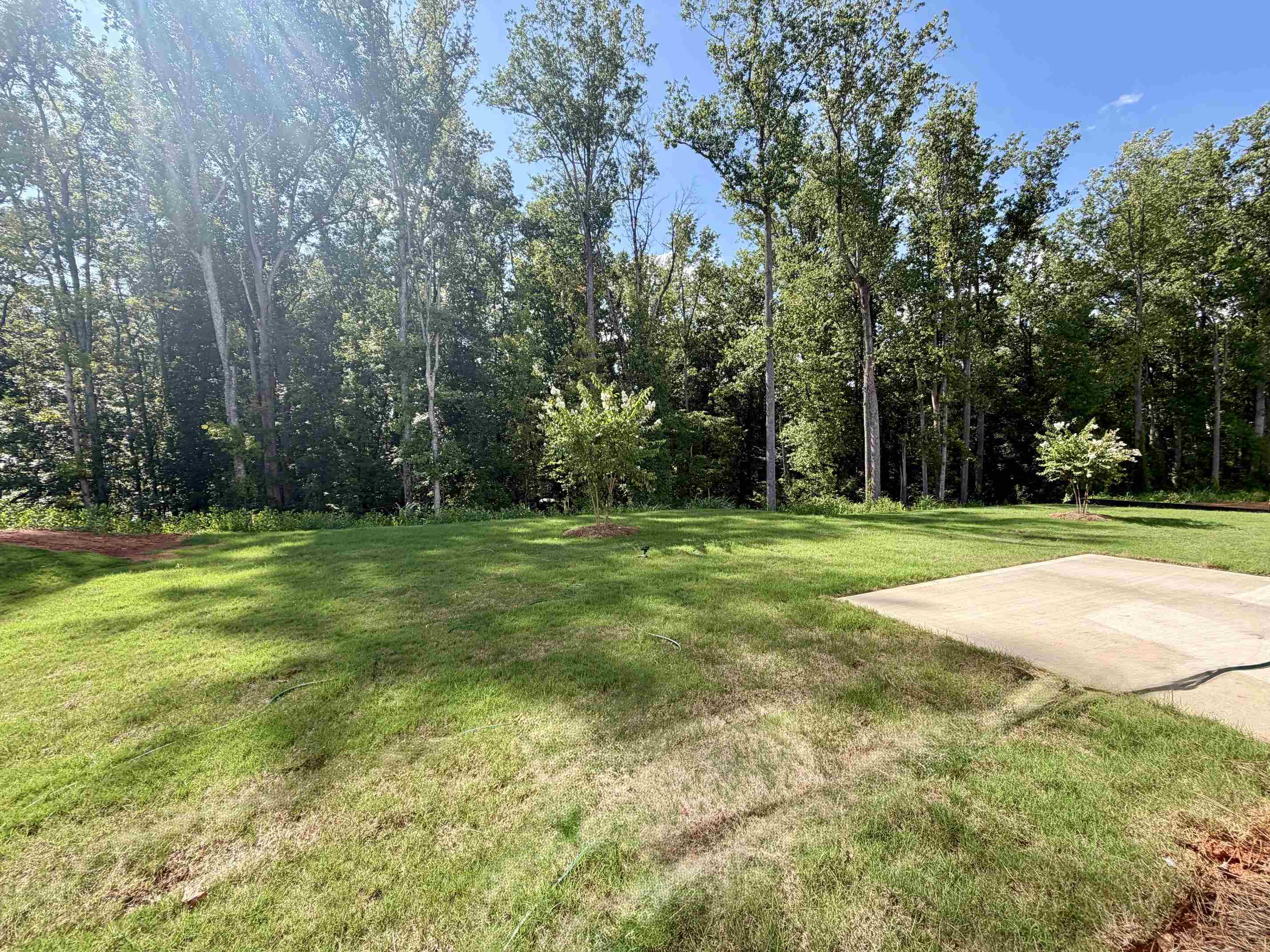 12143 Lansbury Drive Property Photo 16