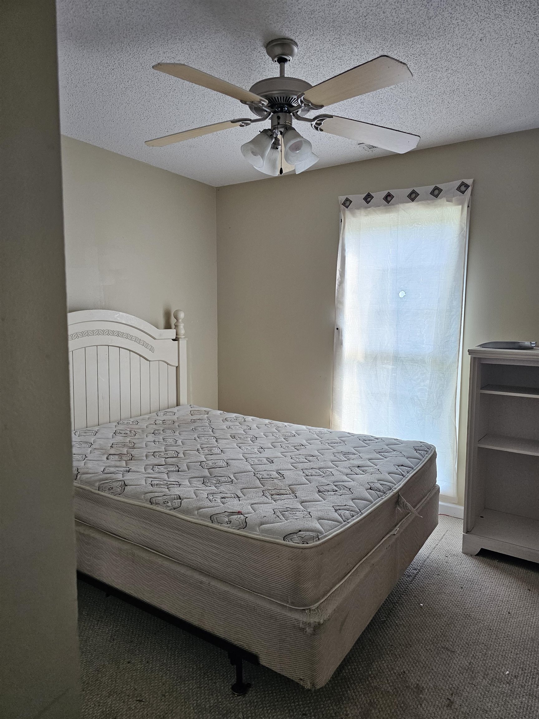 241 Summer Lady Lane Property Photo 9