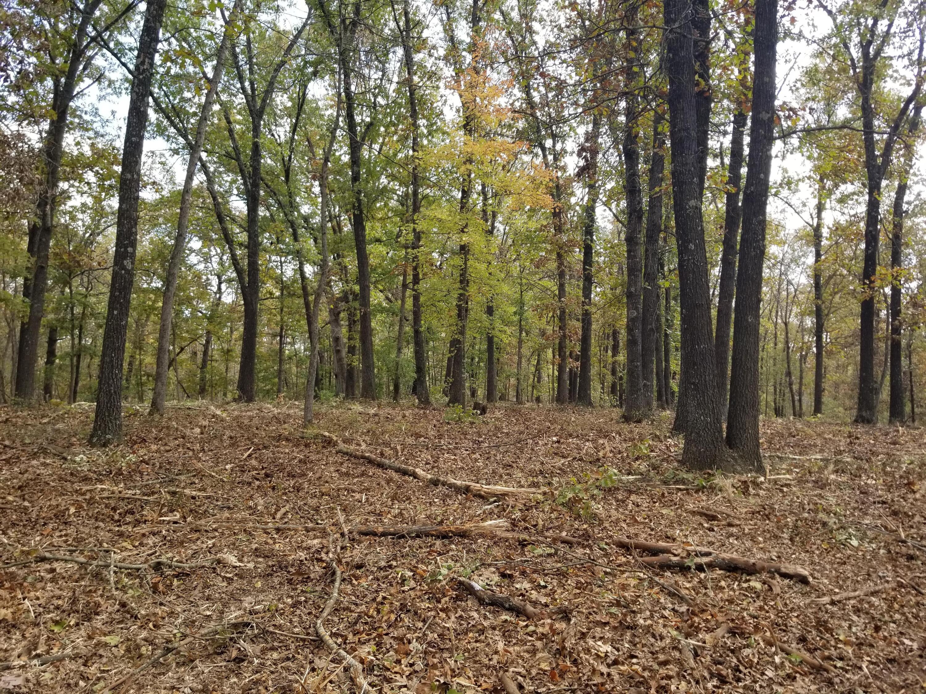 6-A Creekwood Lane Property Photo 1