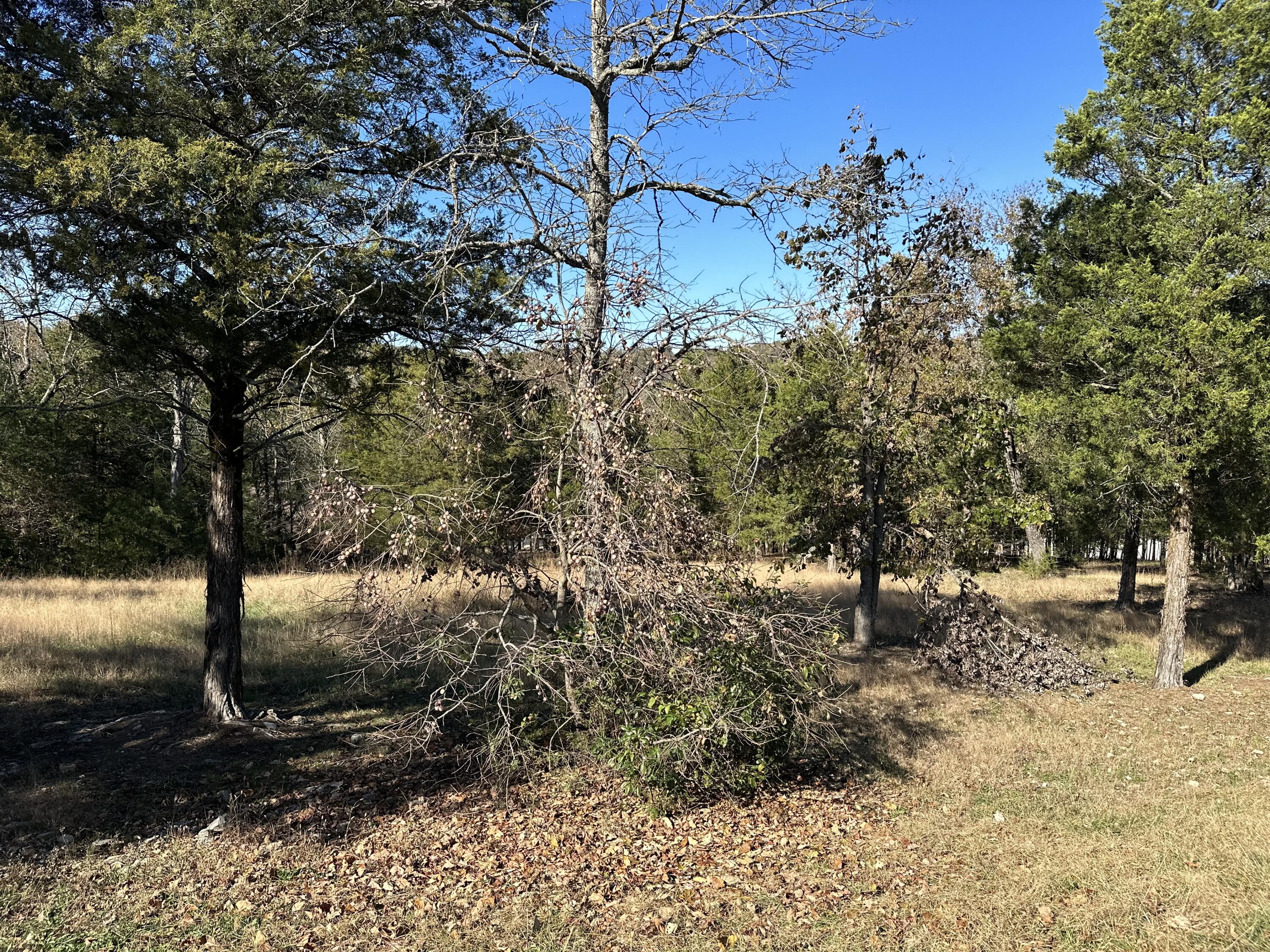 Lot 37 Phase 2 Appaloosa Trail Property Photo 1