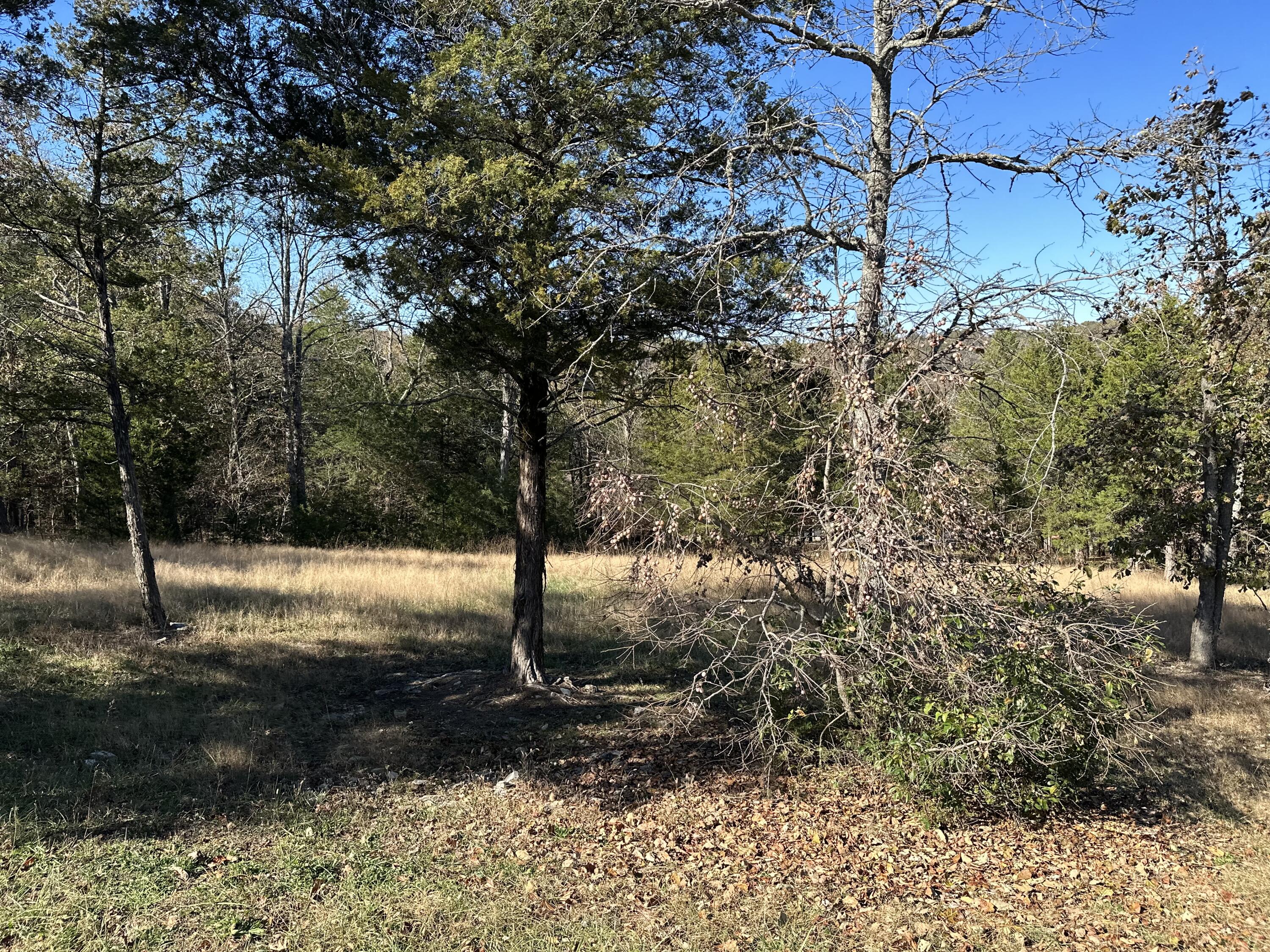 Lot 36 Phase 2 Appaloosa Trail Property Photo 1
