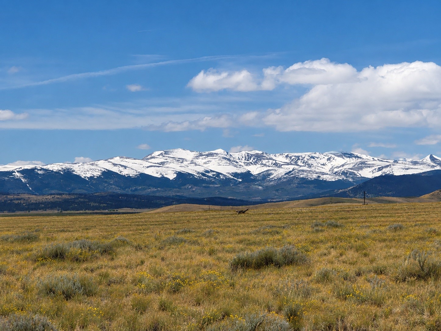 0 Antero Trail Property Photo 1