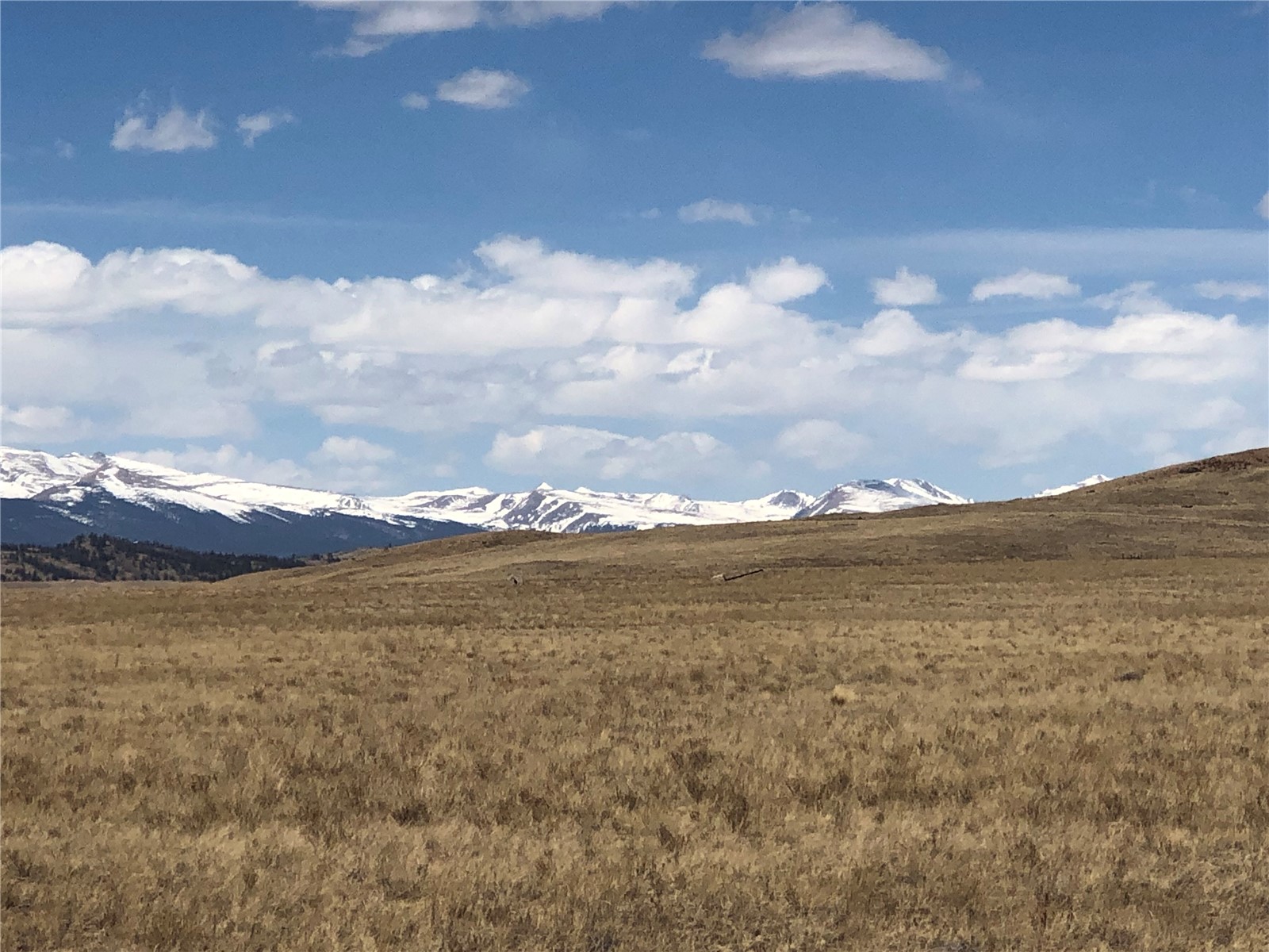 0 Antero Trail Property Photo 3