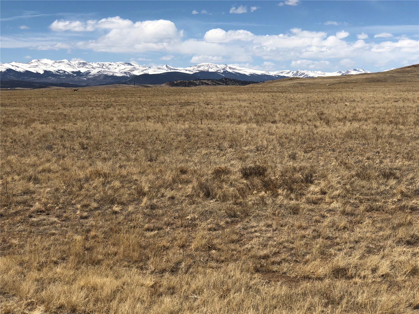 0 Antero Trail Property Photo 9
