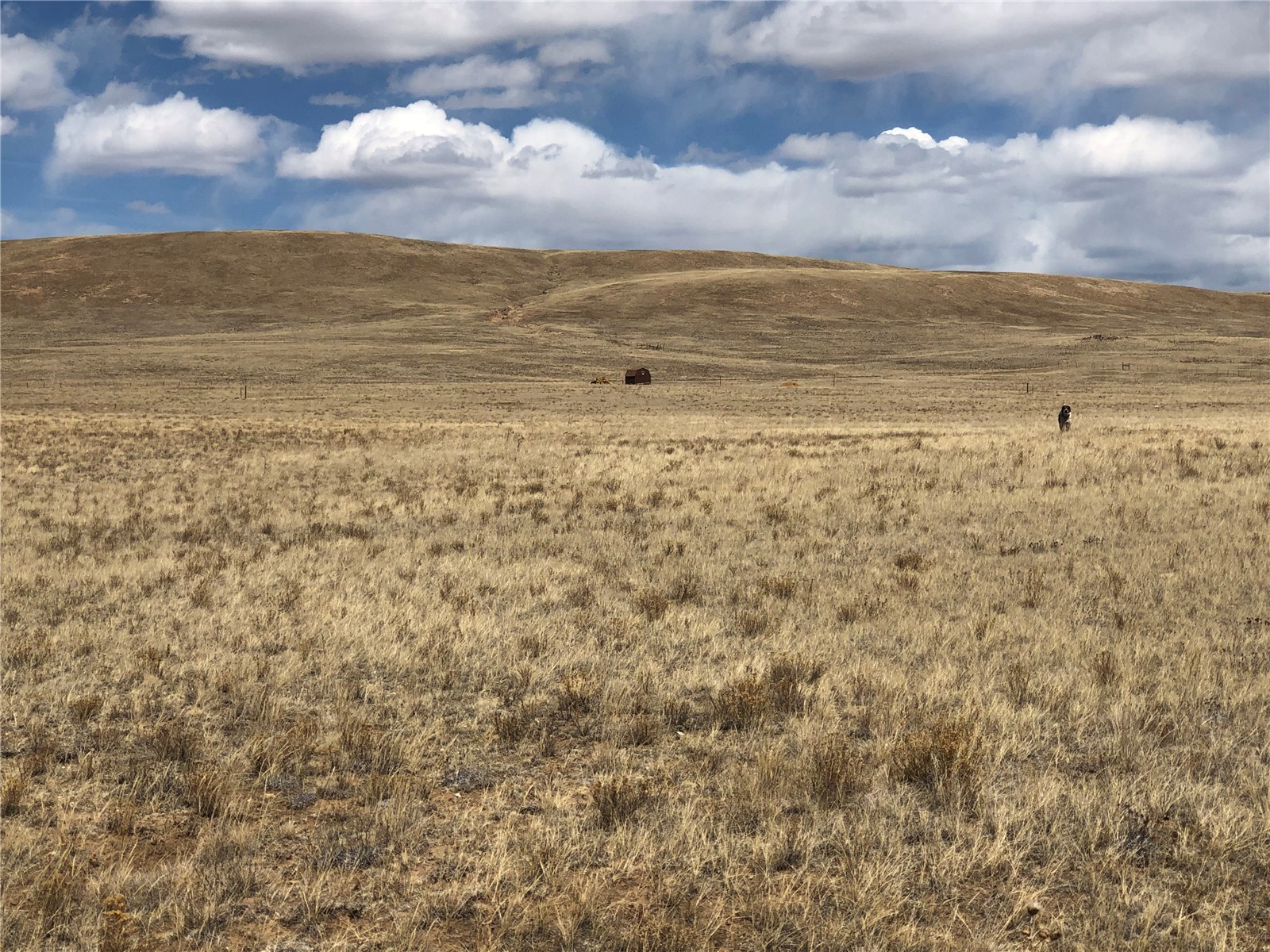 0 Antero Trail Property Photo 11