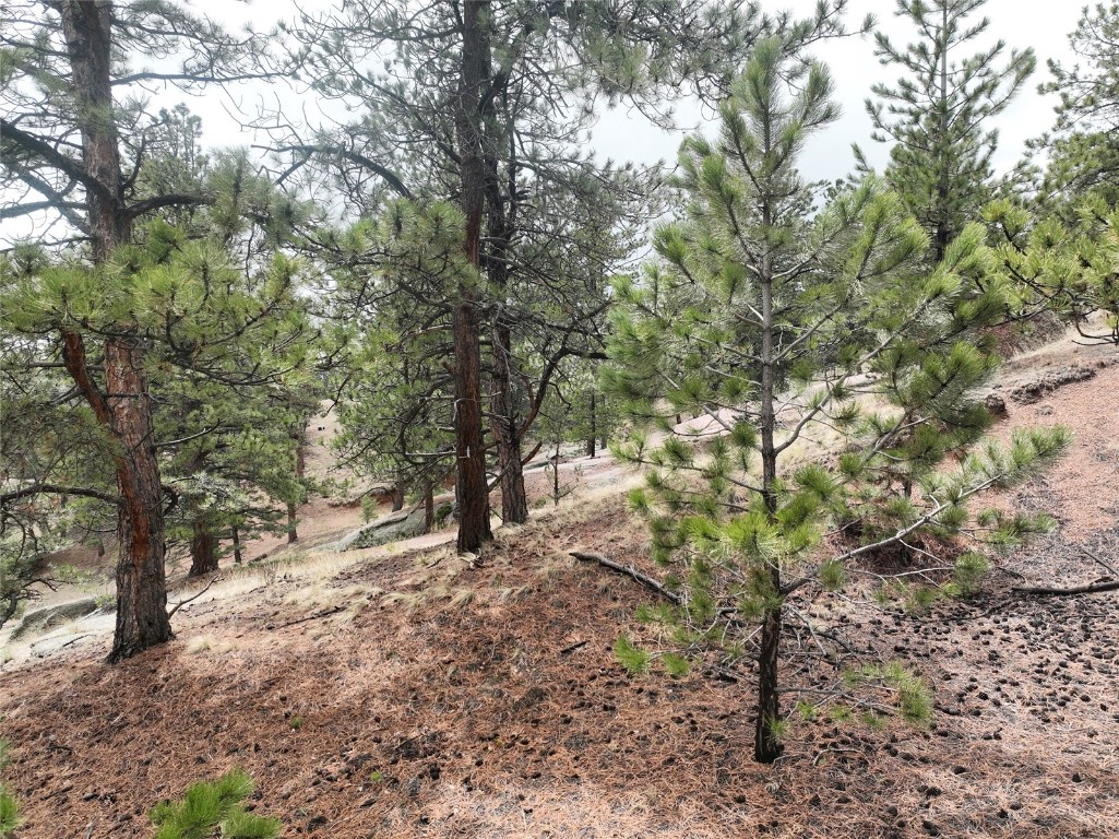 255 Pinon Lane Property Photo 2
