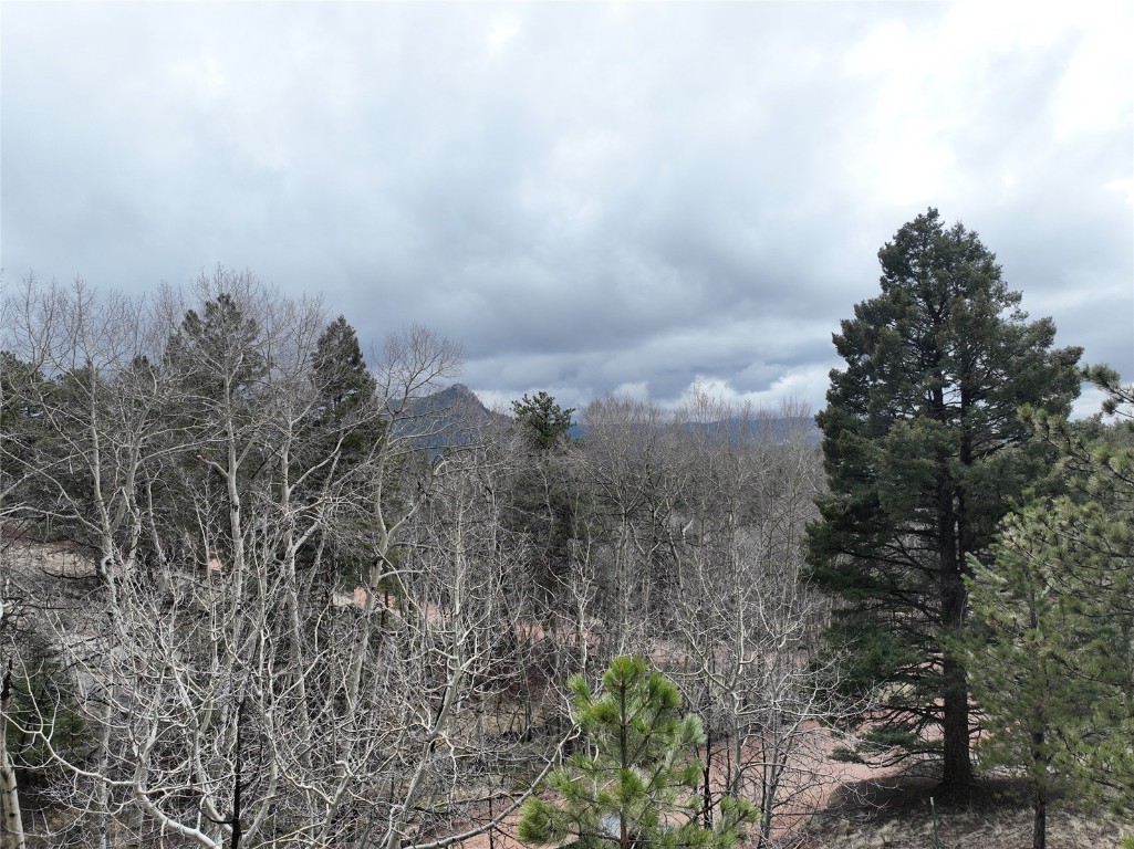255 Pinon Lane Property Photo 3