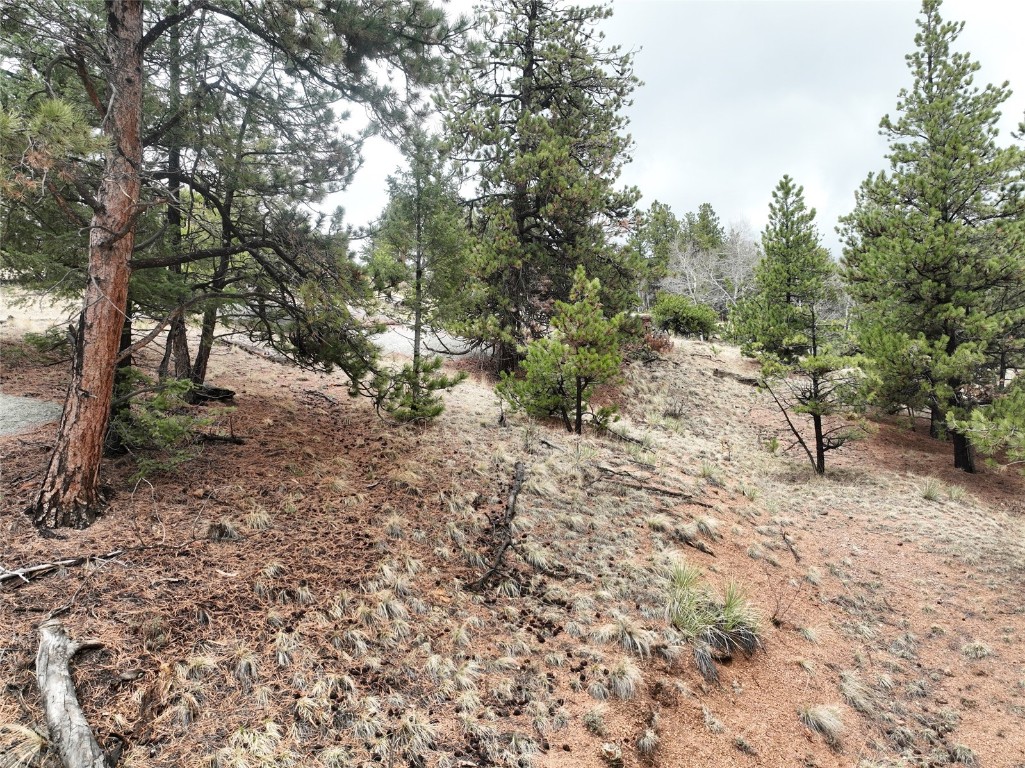255 Pinon Lane Property Photo 4