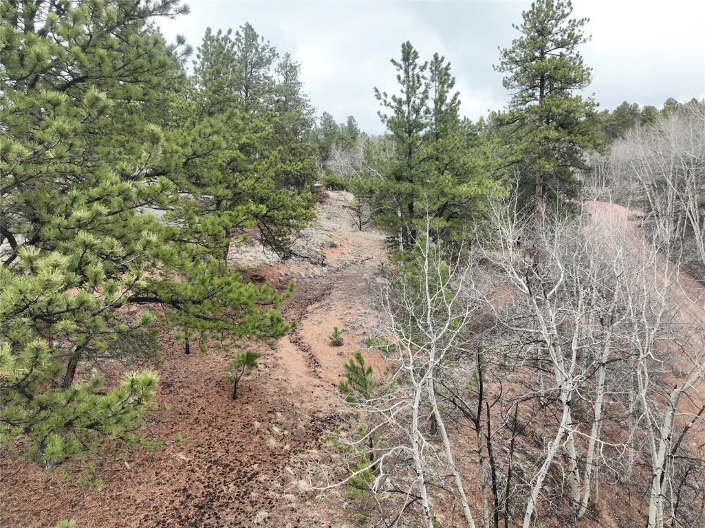 255 Pinon Lane Property Photo 8