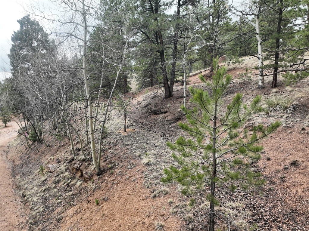 255 Pinon Lane Property Photo 10