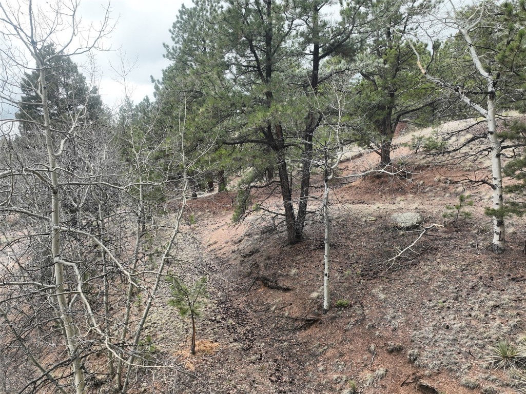 255 Pinon Lane Property Photo 11