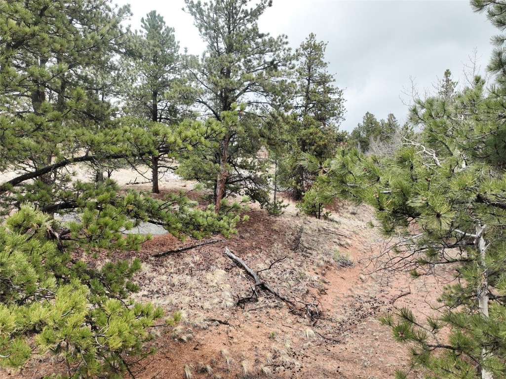 255 Pinon Lane Property Photo 14