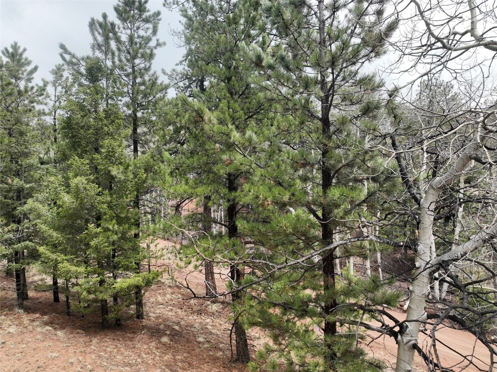 255 Pinon Lane Property Photo 15