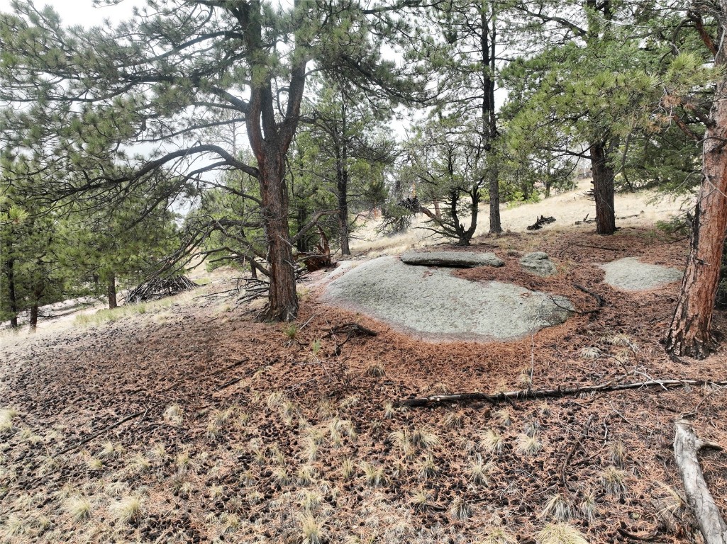255 Pinon Lane Property Photo