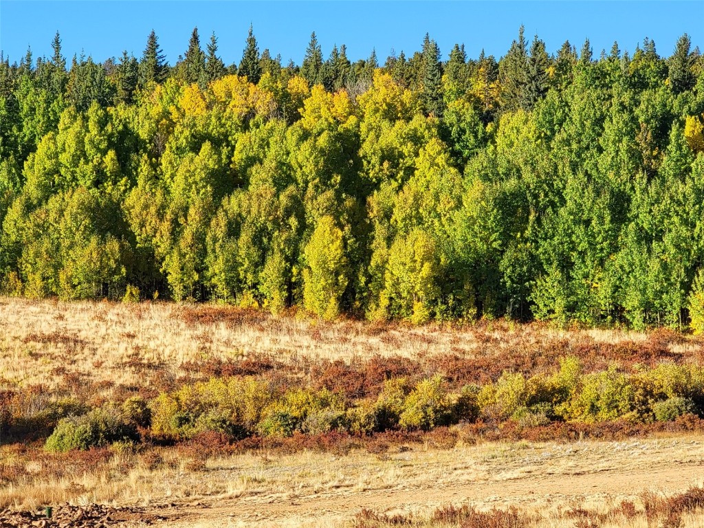 1555 Bluestem Way Property Photo 2