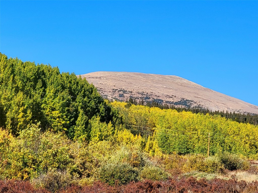 1555 Bluestem Way Property Photo 3