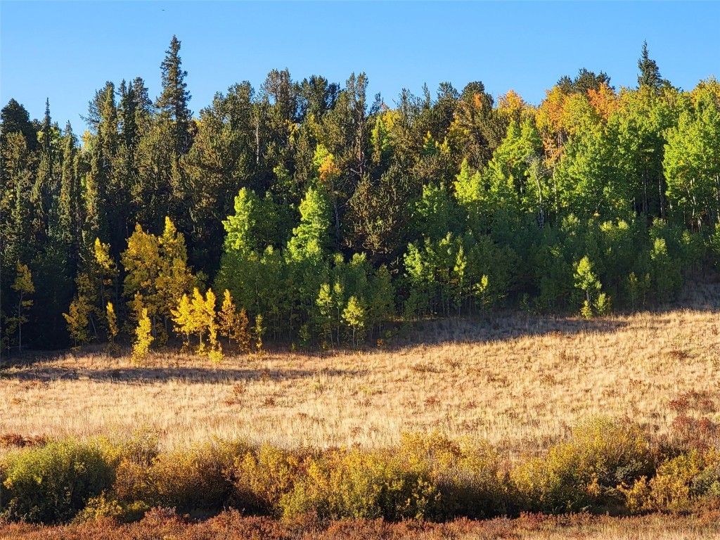 1555 Bluestem Way Property Photo 4