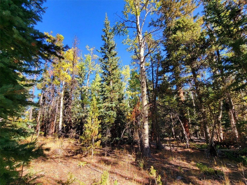 1555 Bluestem Way Property Photo 5